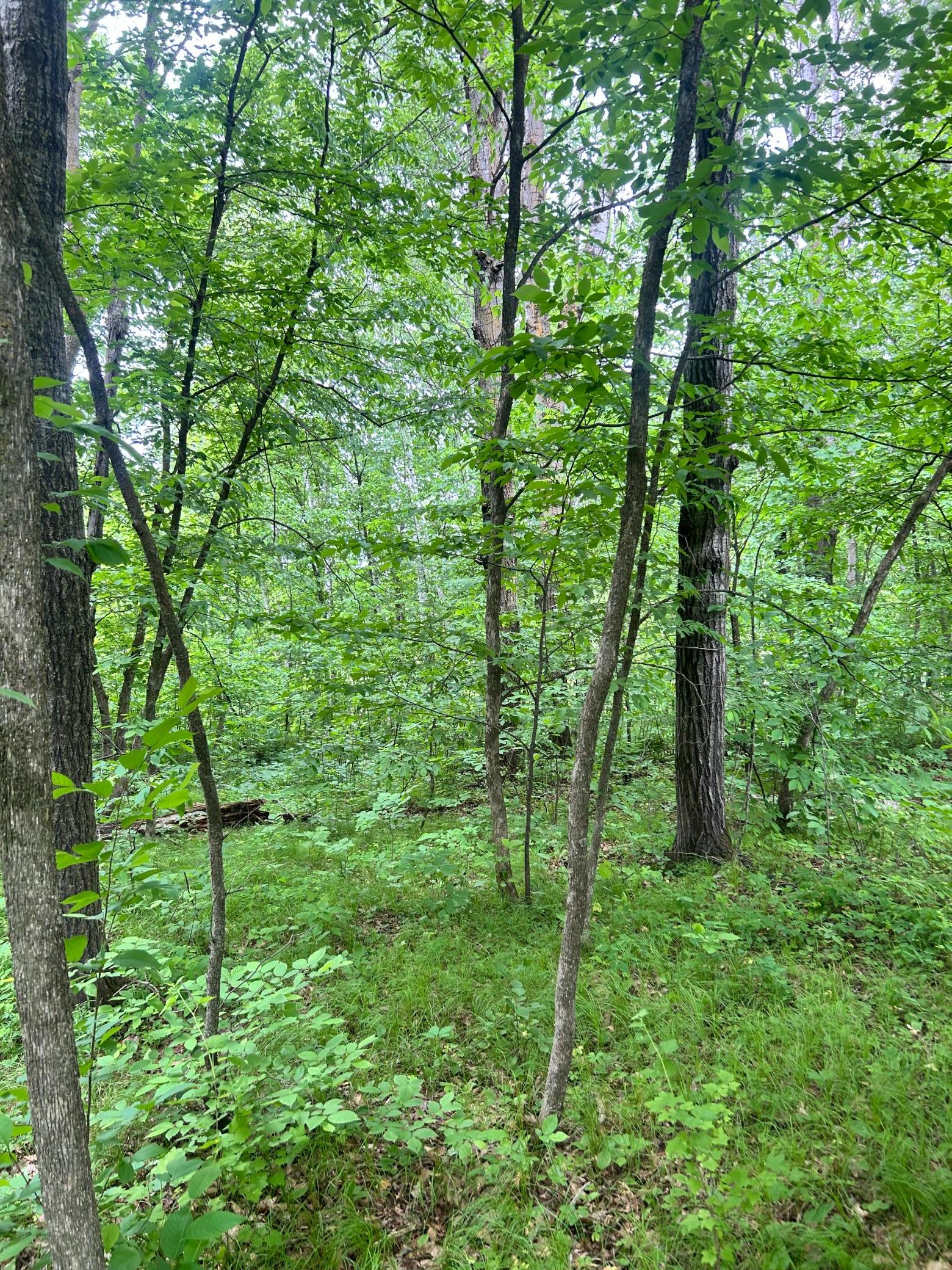 main property photo 0