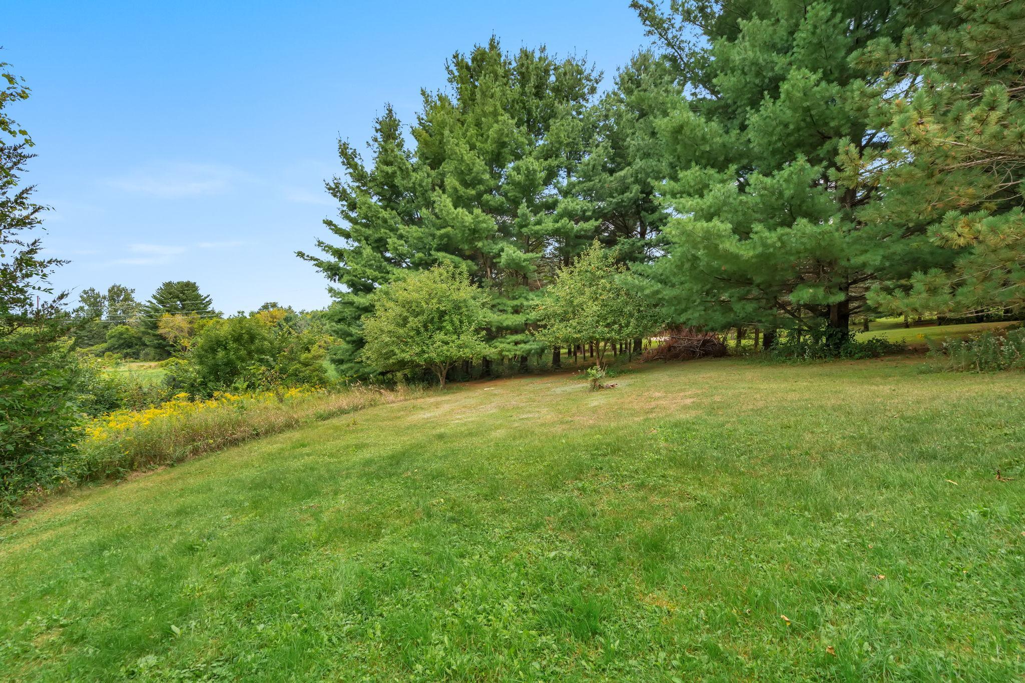 main property photo 41