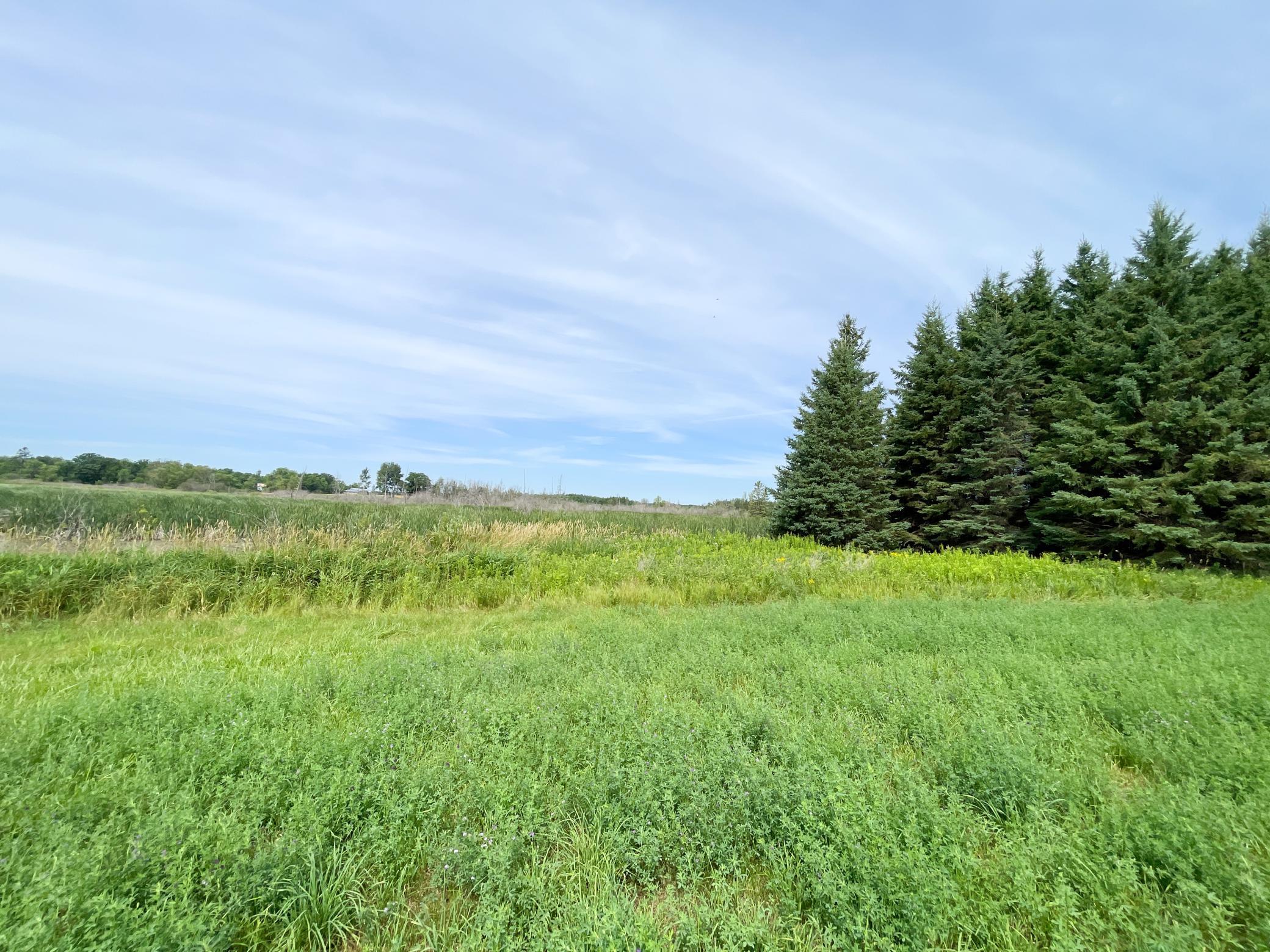 main property photo 55