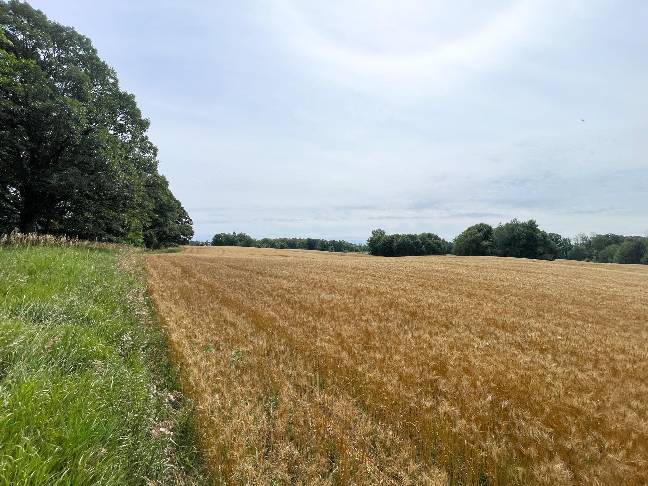 main property photo 62