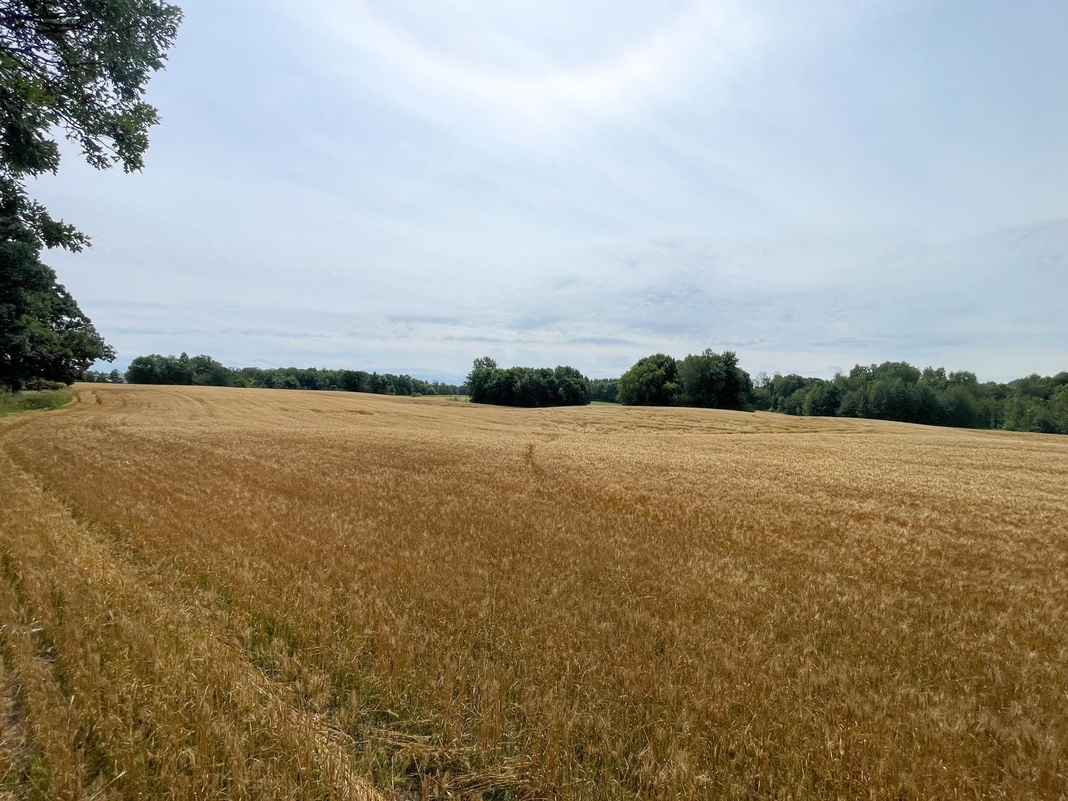 main property photo 65