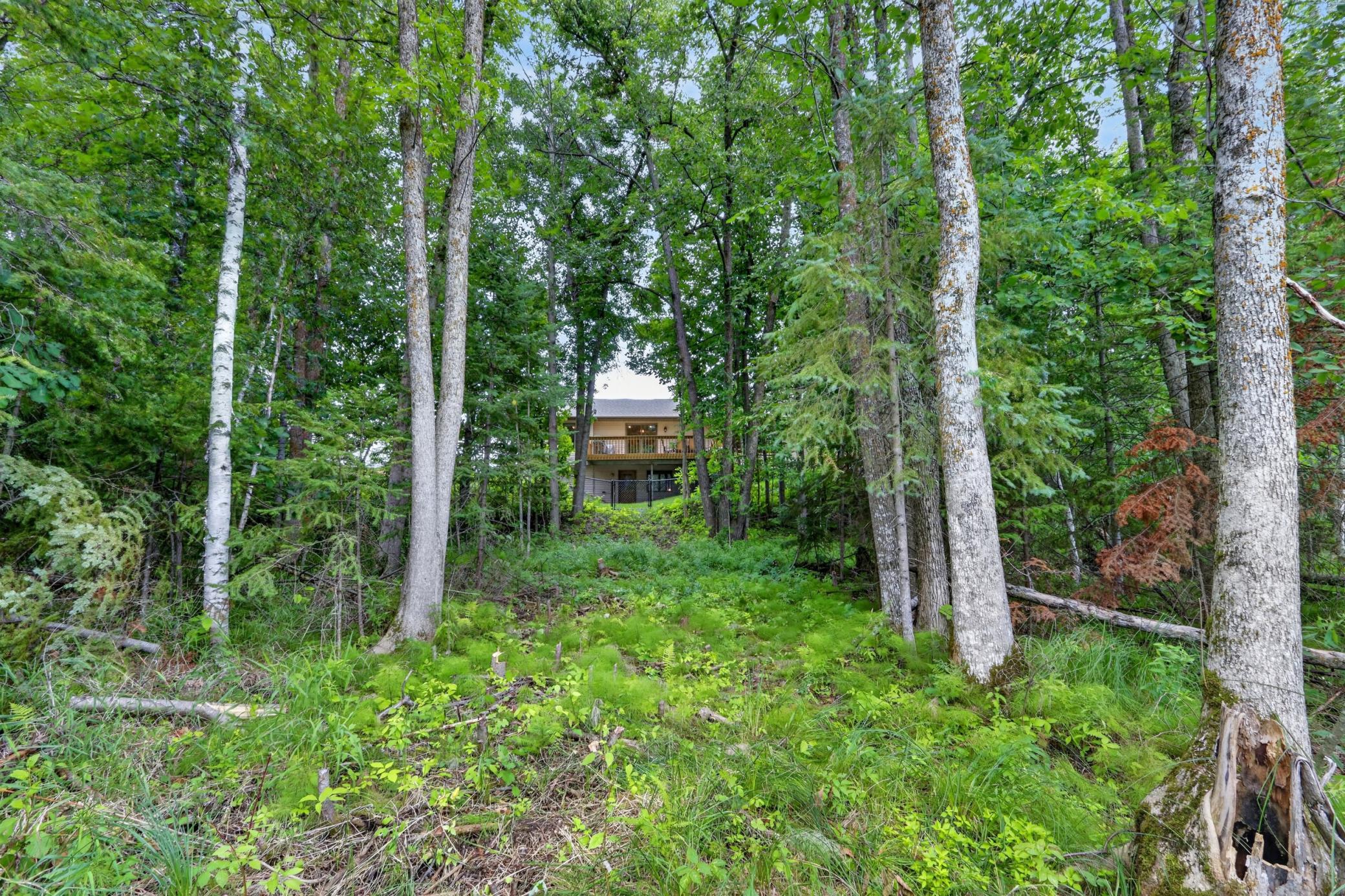 main property photo 58