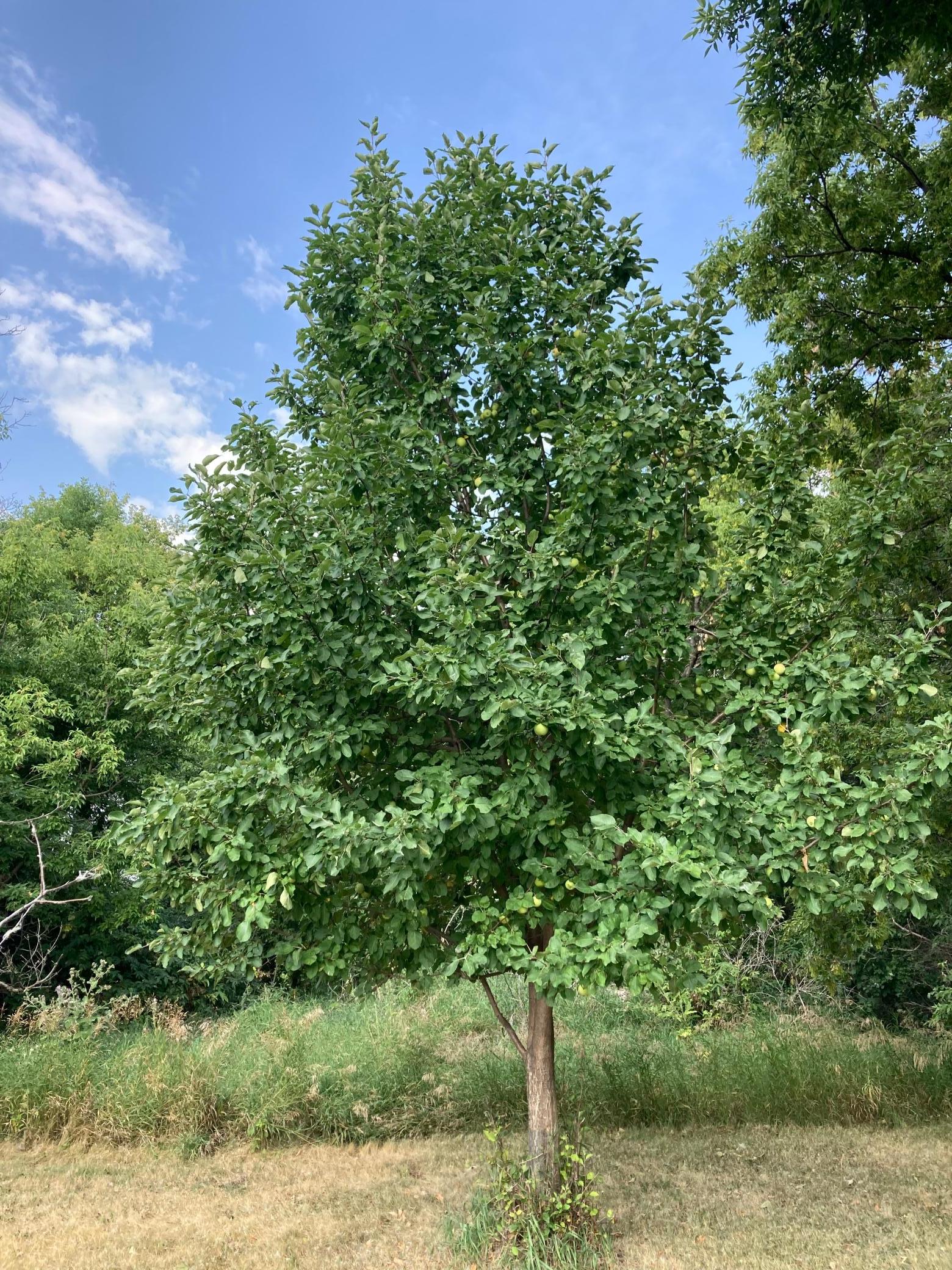 main property photo 21