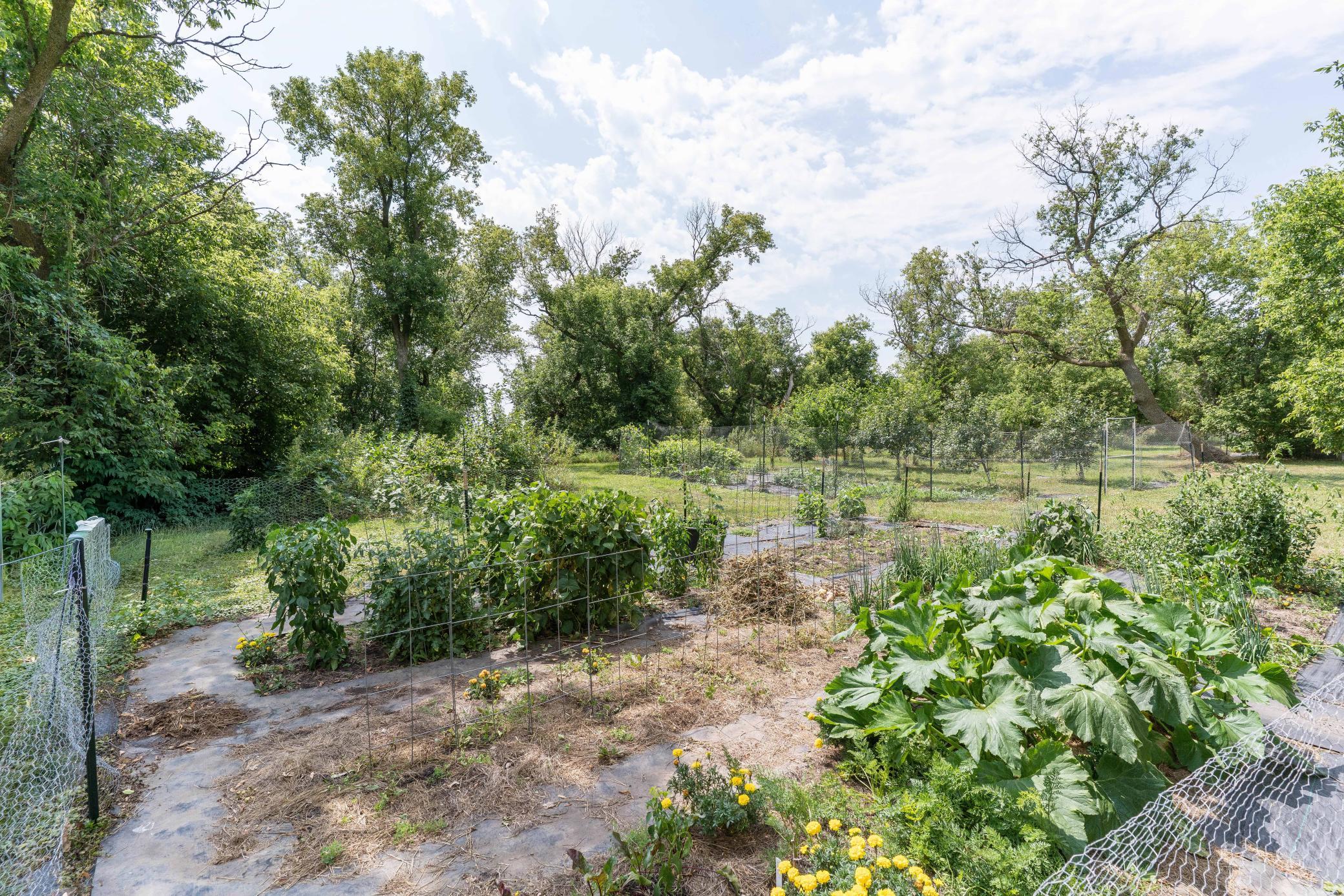 main property photo 33