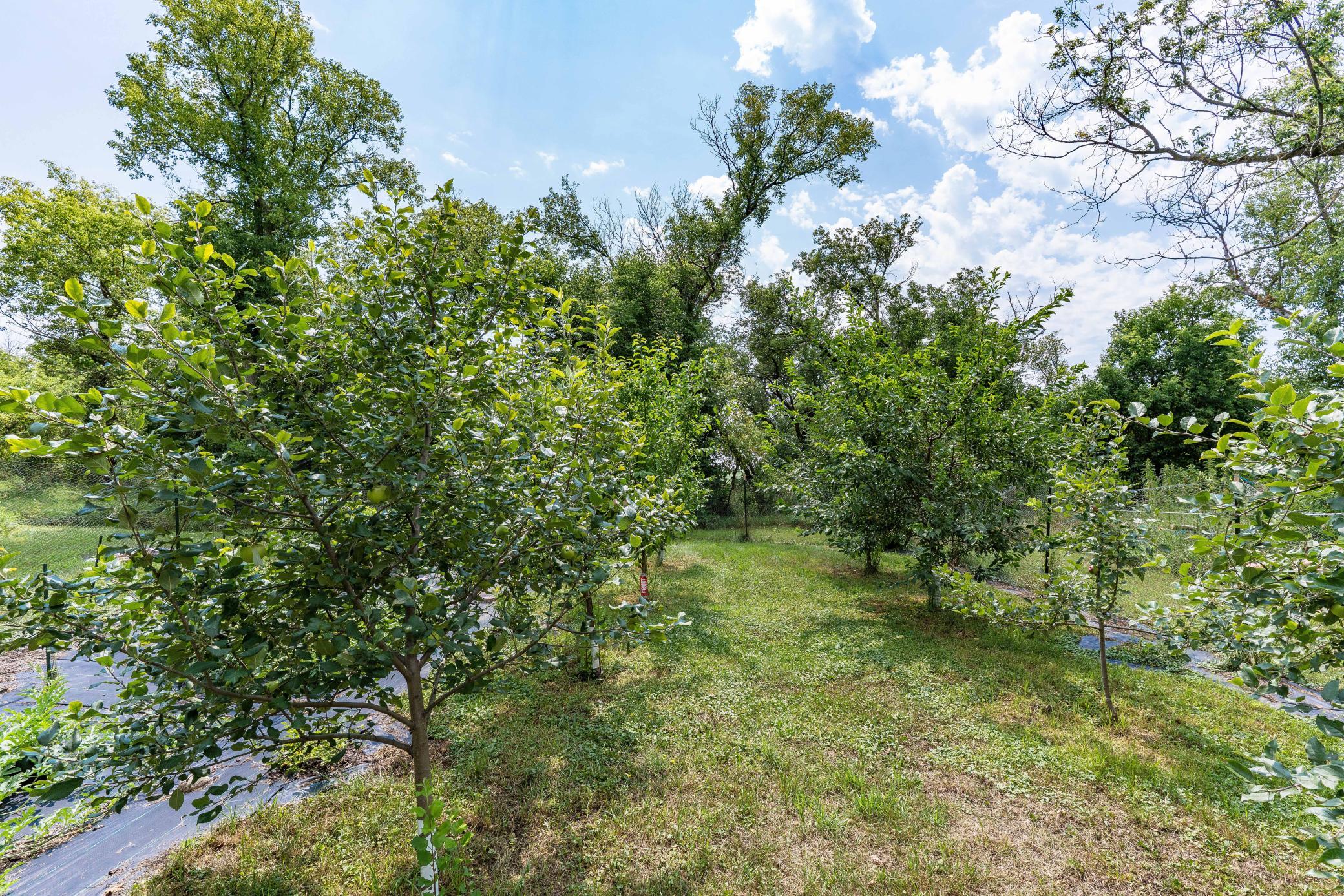 main property photo 34