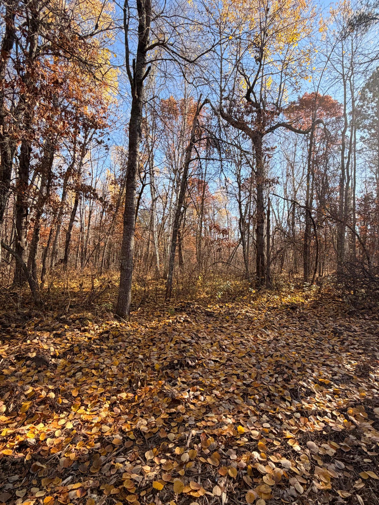 main property photo 21