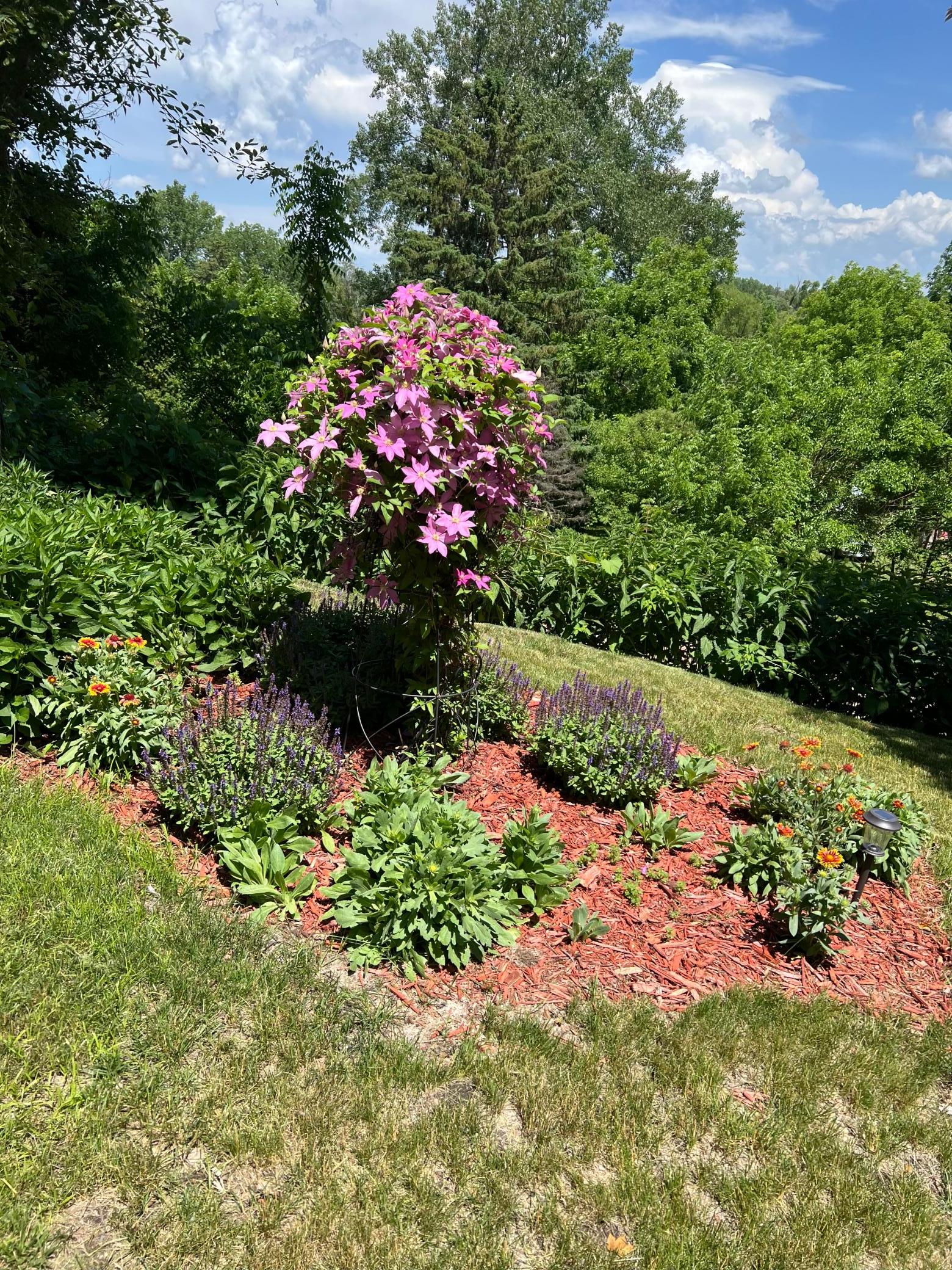 main property photo 40