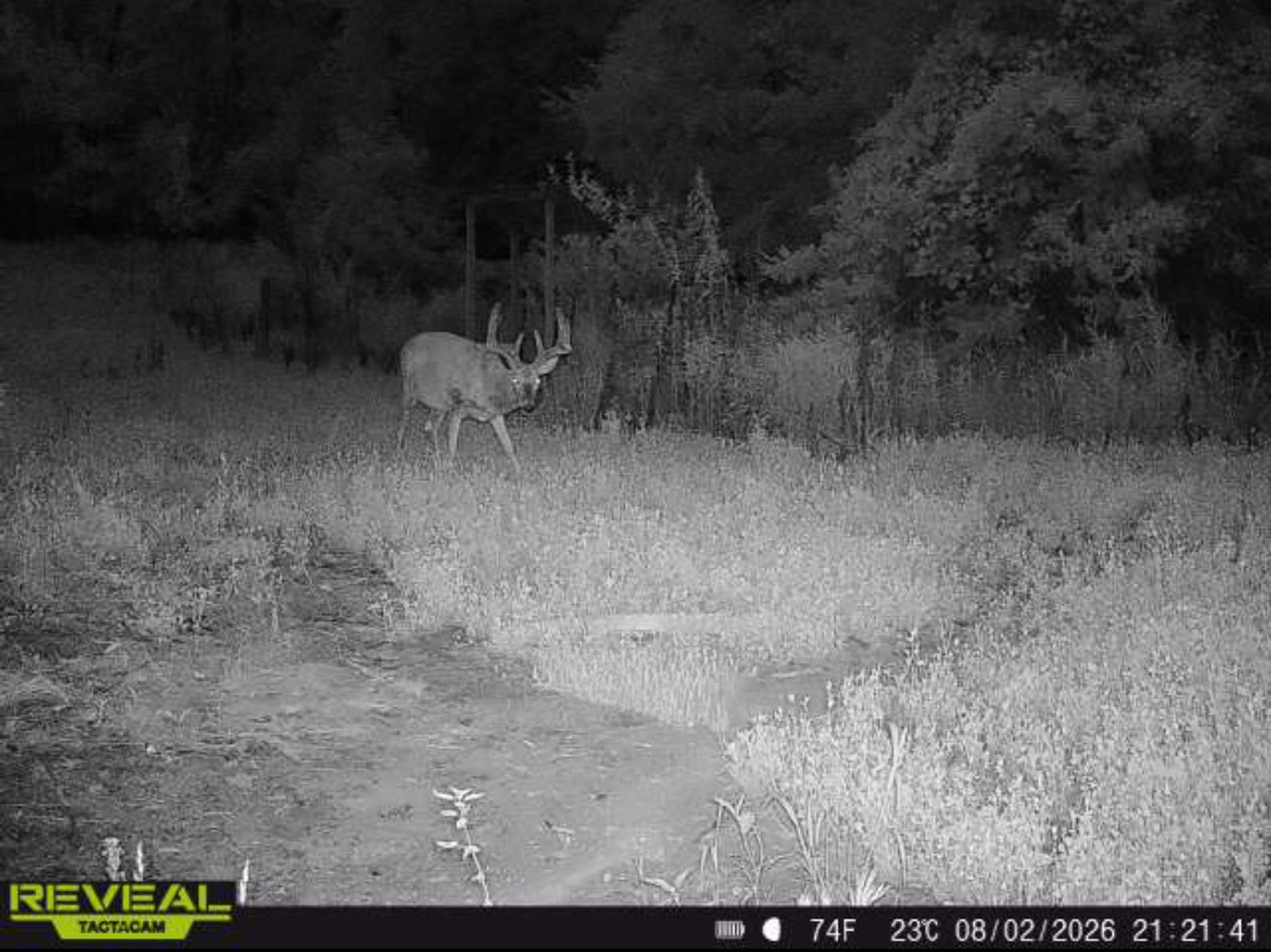 main property photo 25