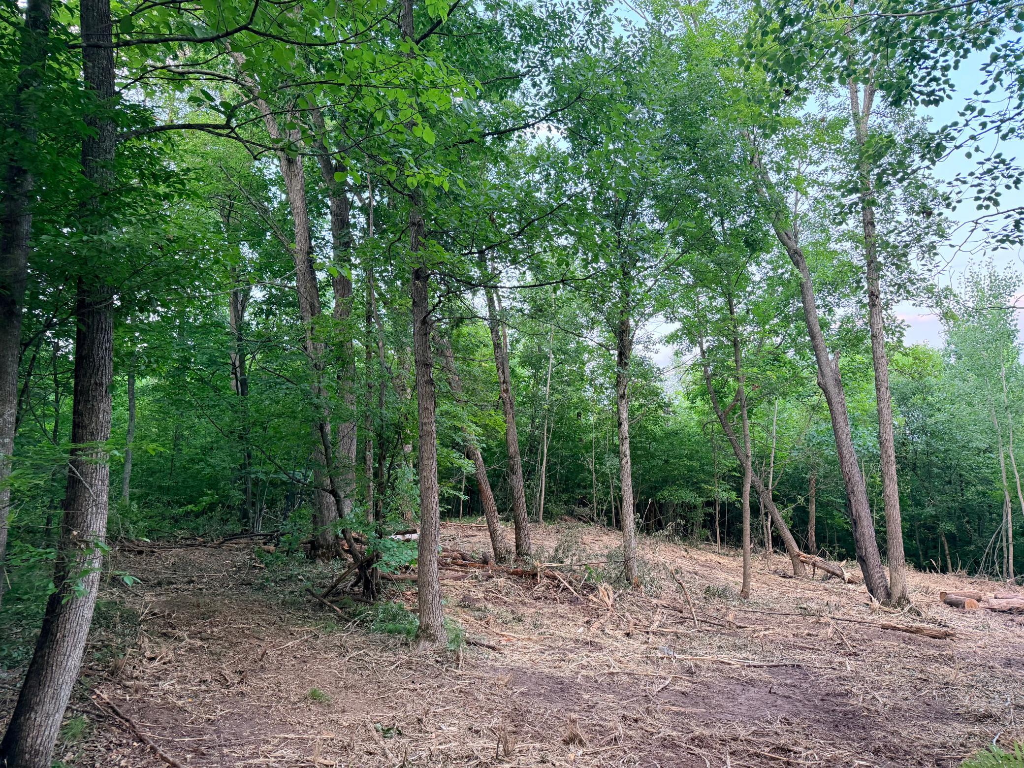 main property photo 9