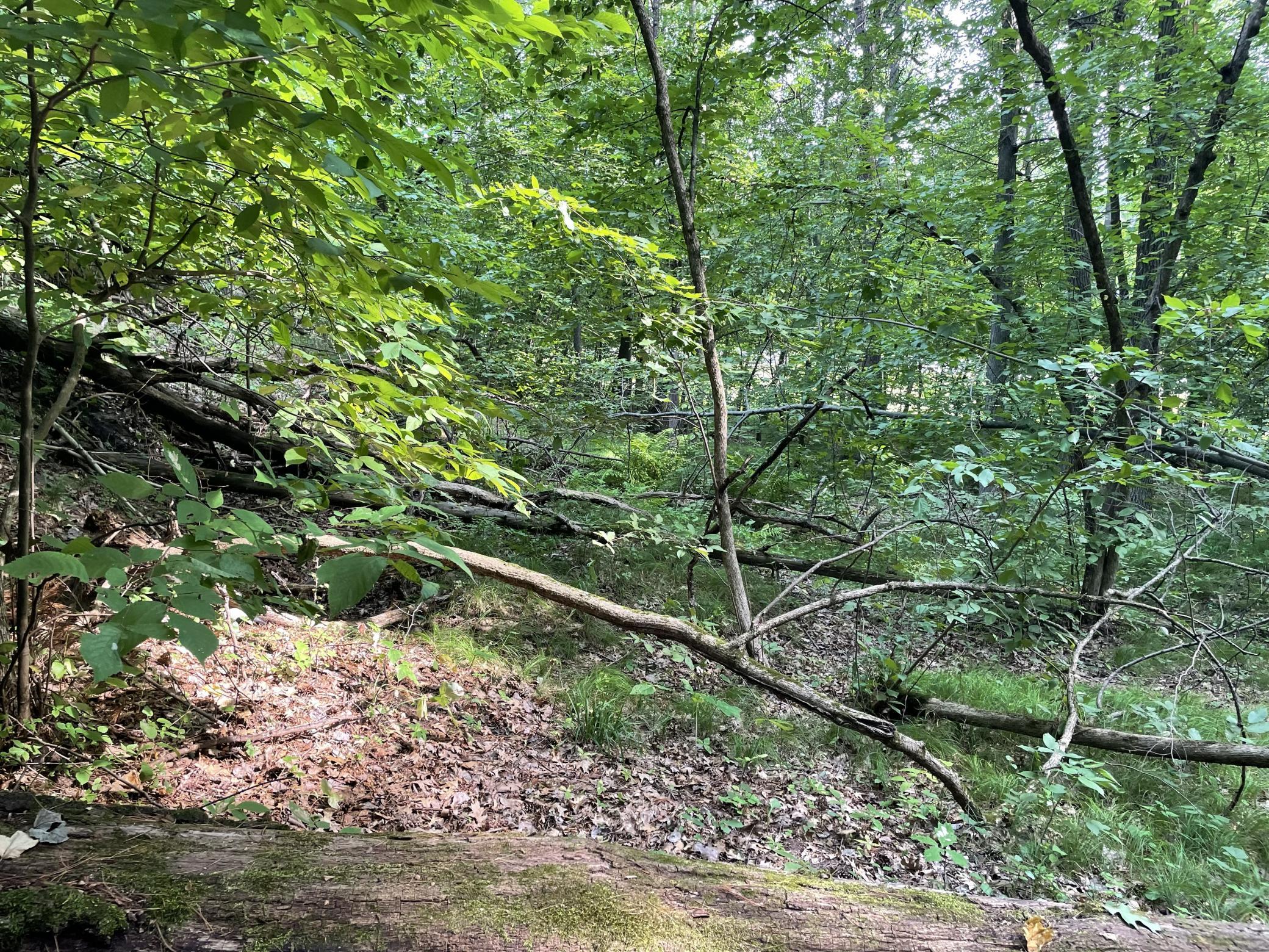 main property photo 34