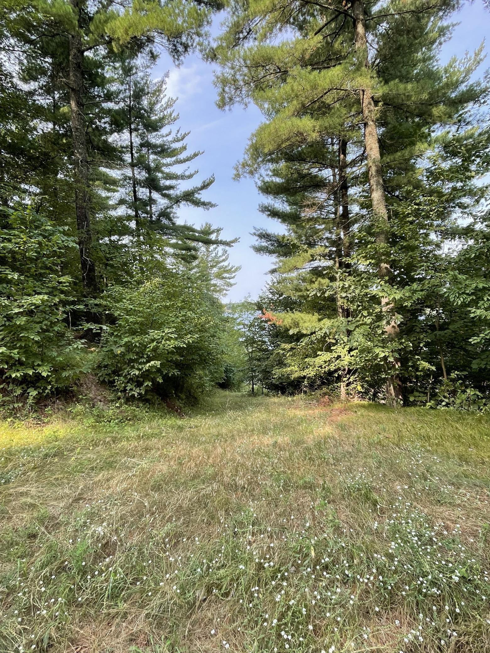 main property photo 36
