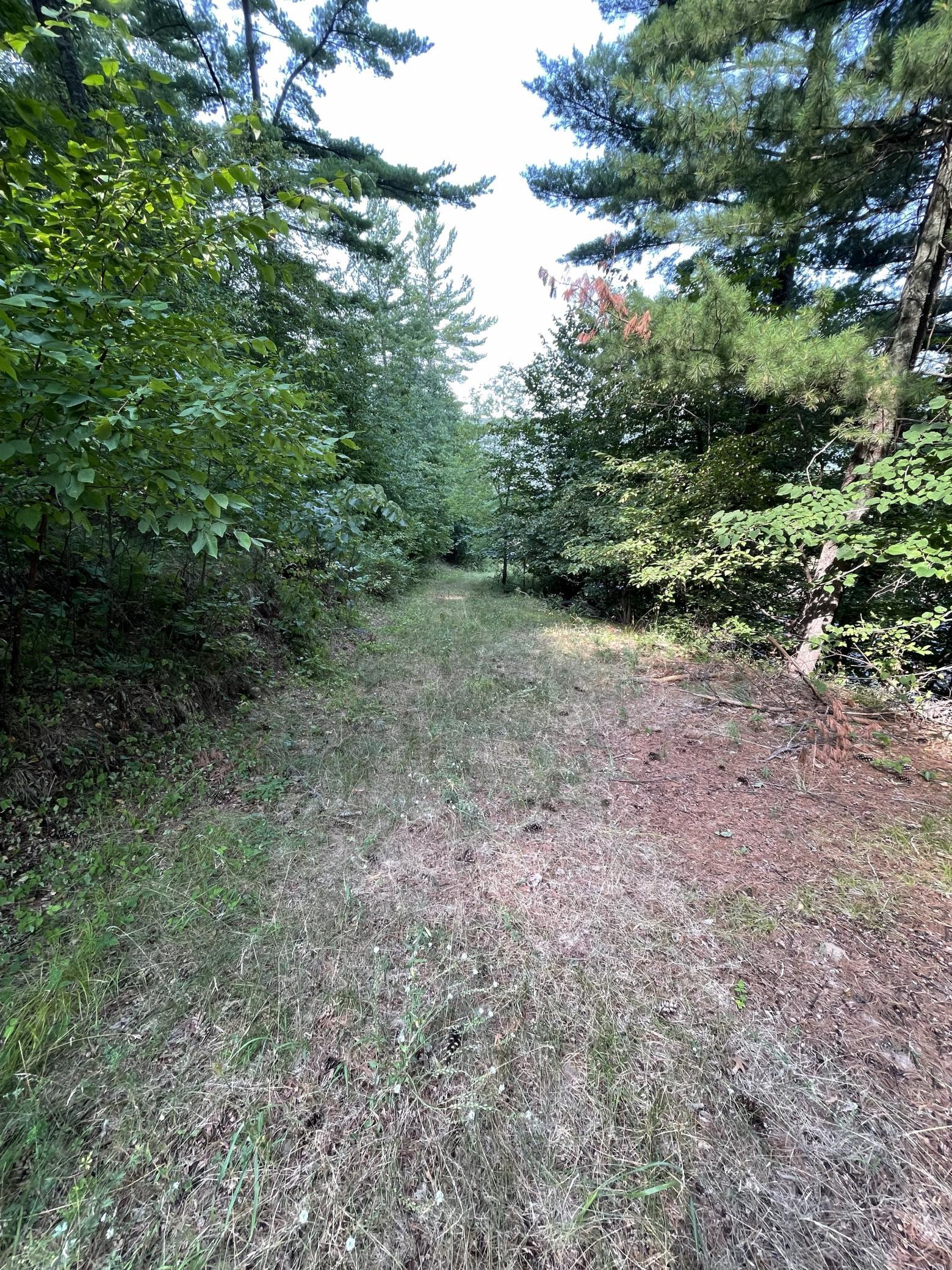 main property photo 43