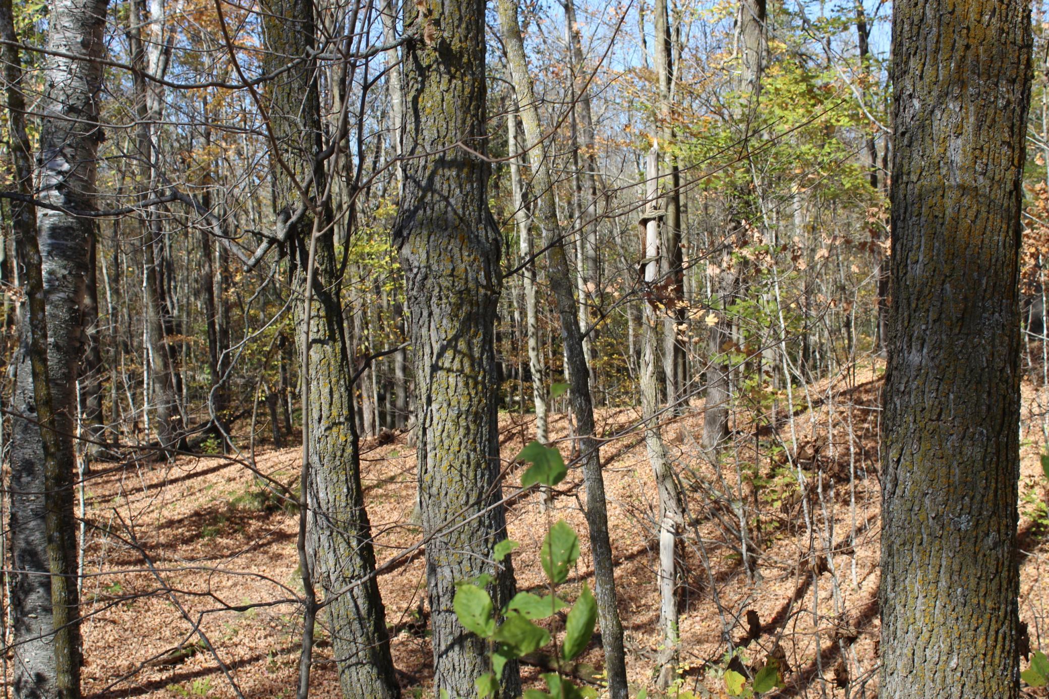 main property photo 0