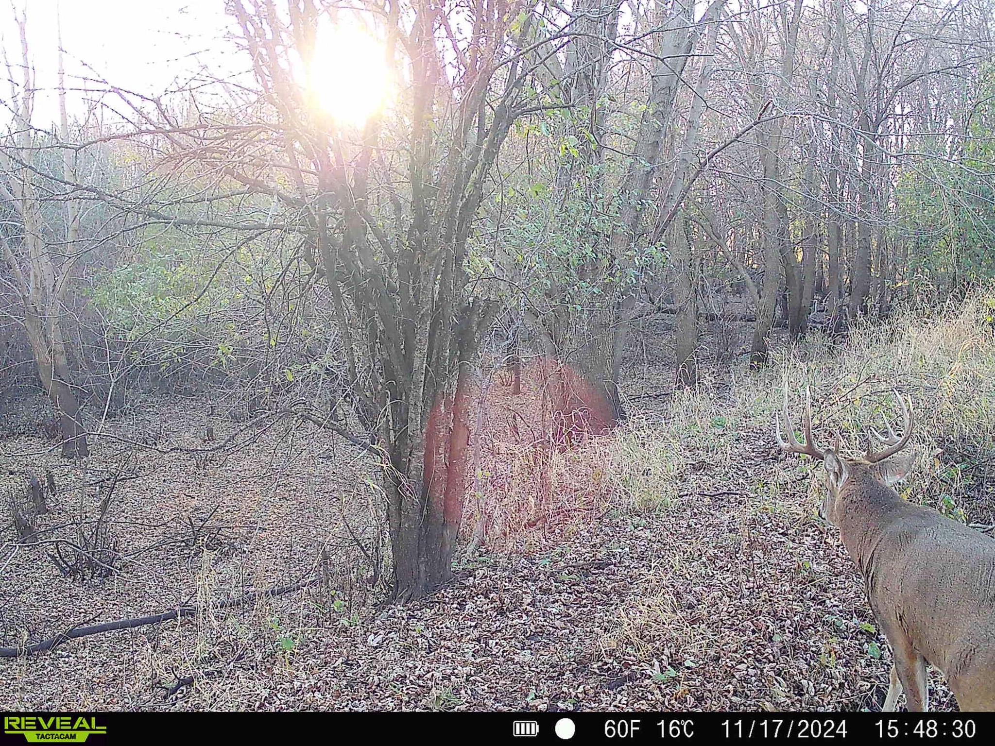 main property photo 16