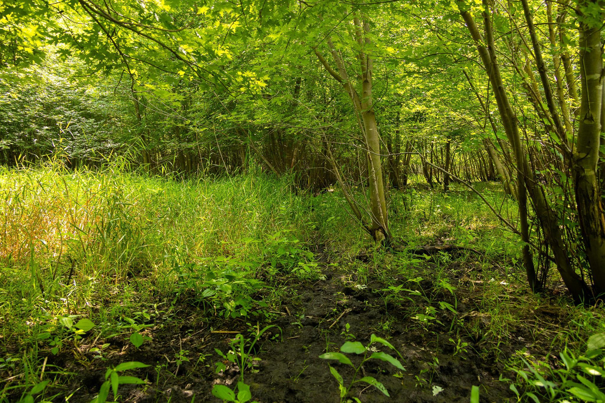 main property photo 20