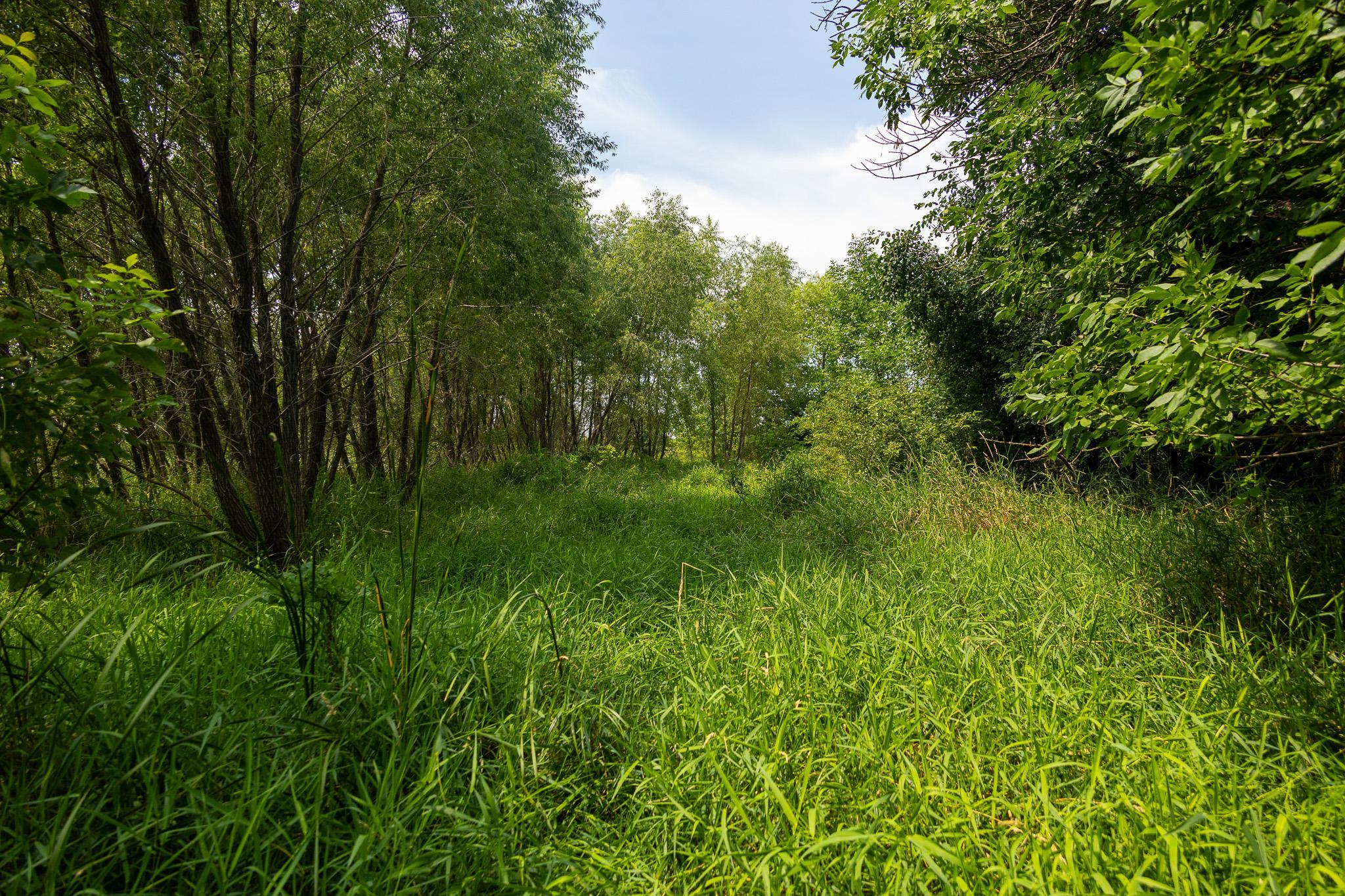 main property photo 37