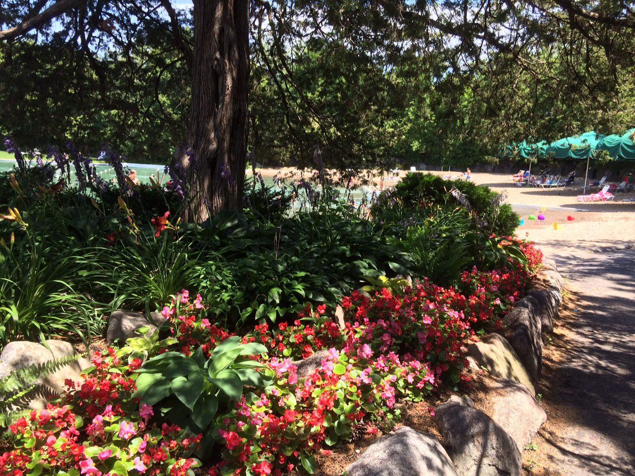 main property photo 44