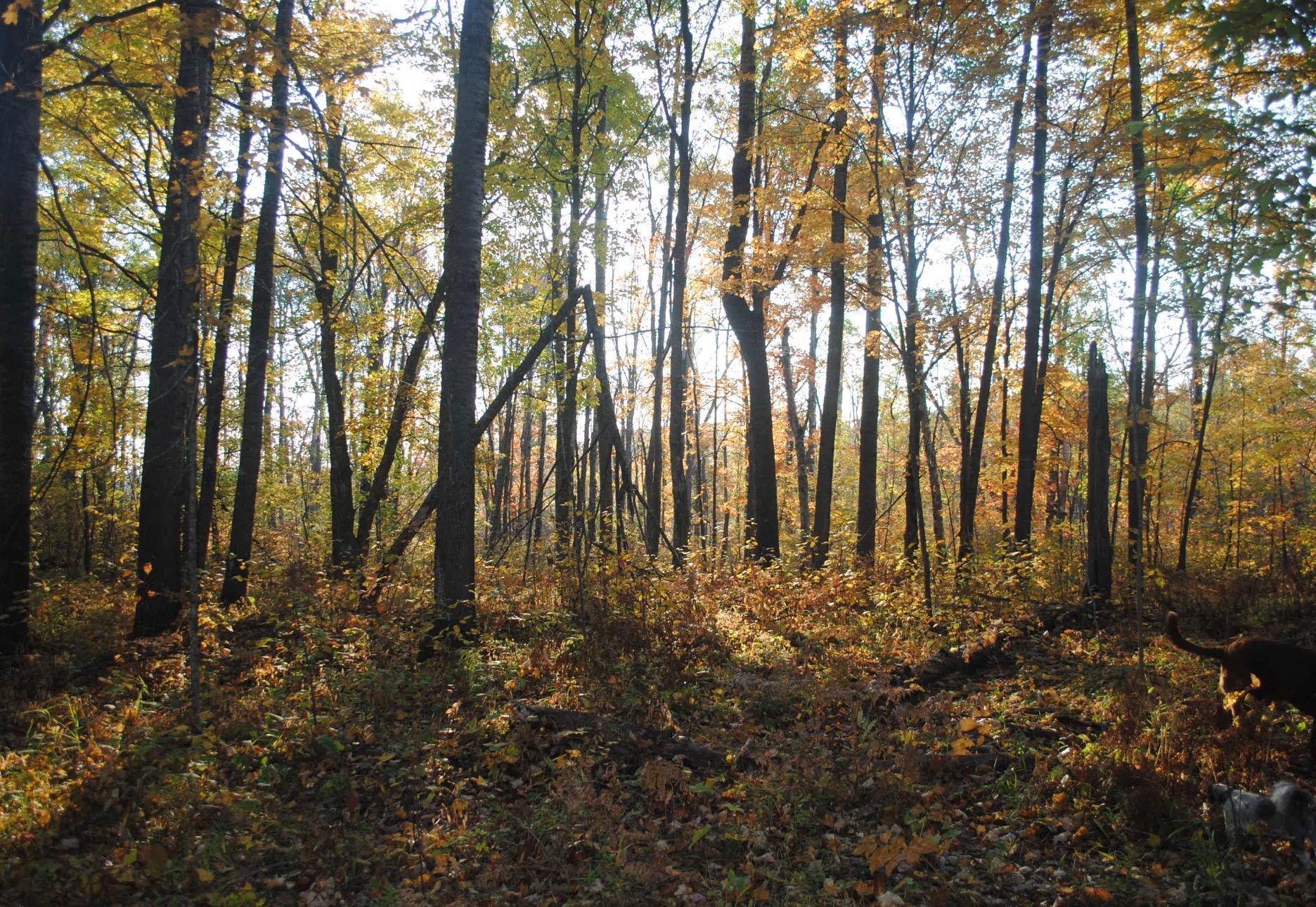 main property photo 25