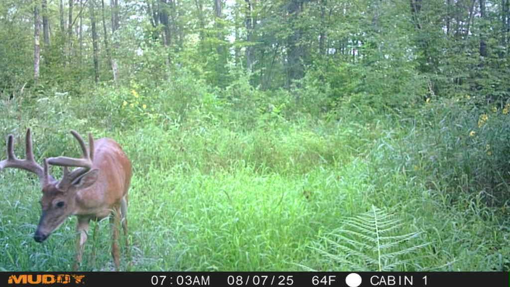 main property photo 51