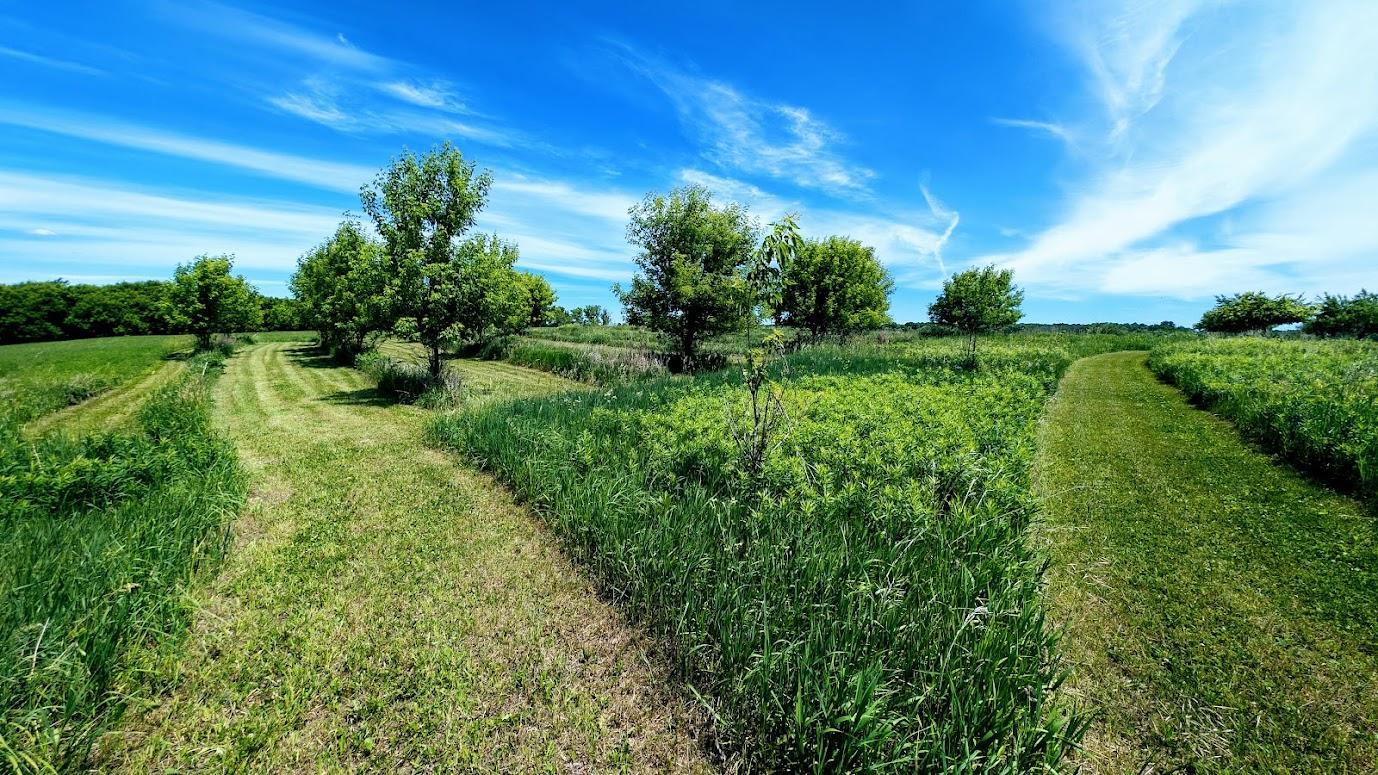 main property photo 56