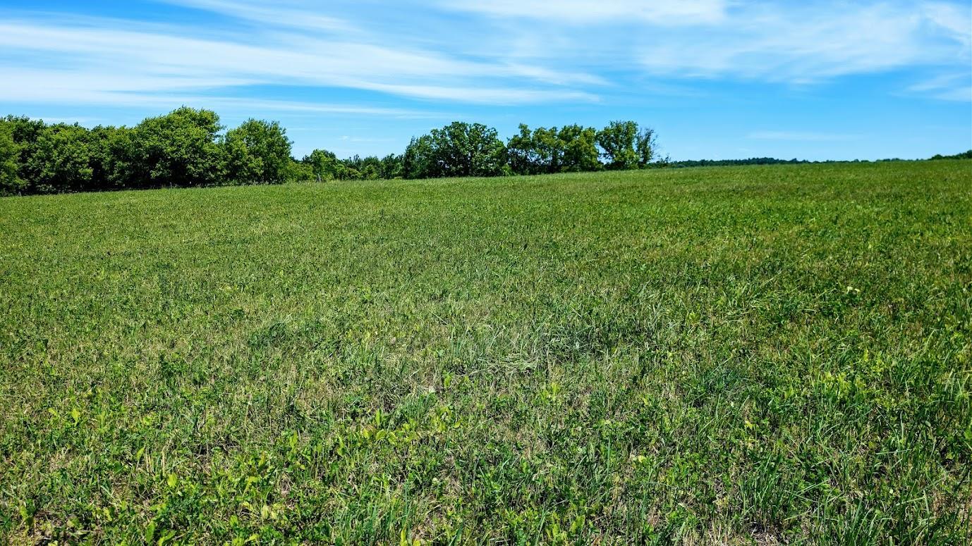 main property photo 57