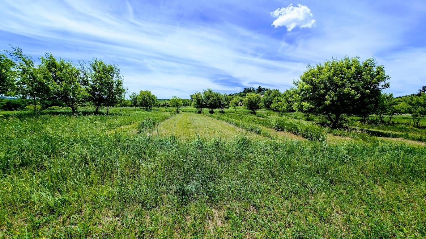 main property photo 58