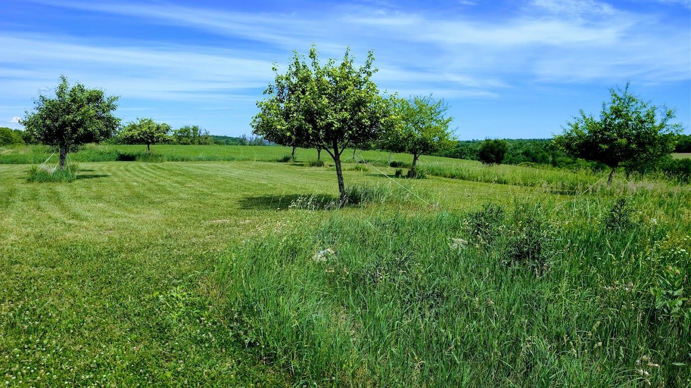 main property photo 59