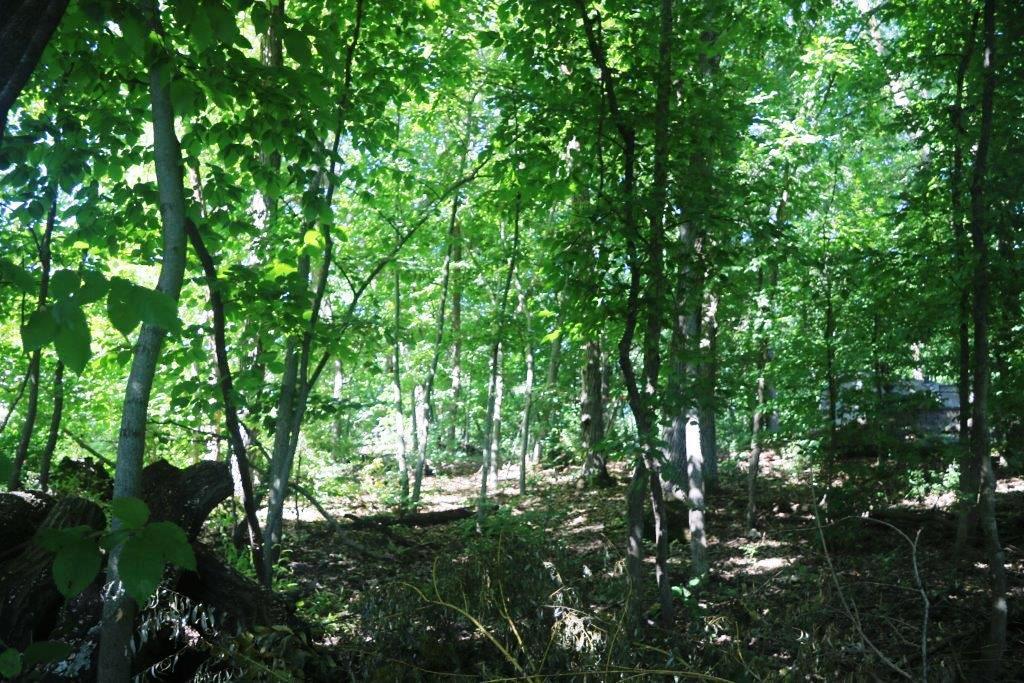main property photo 30