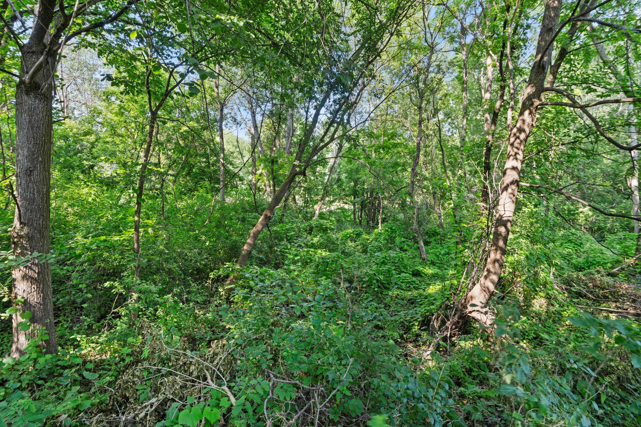 main property photo 76