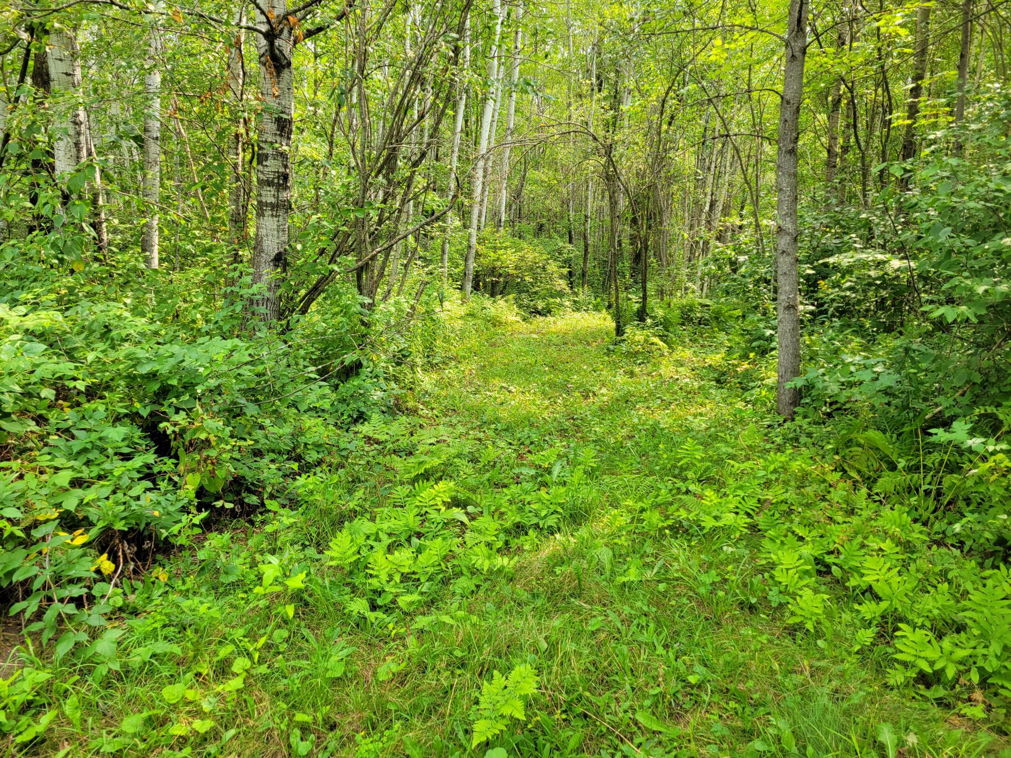 main property photo 17
