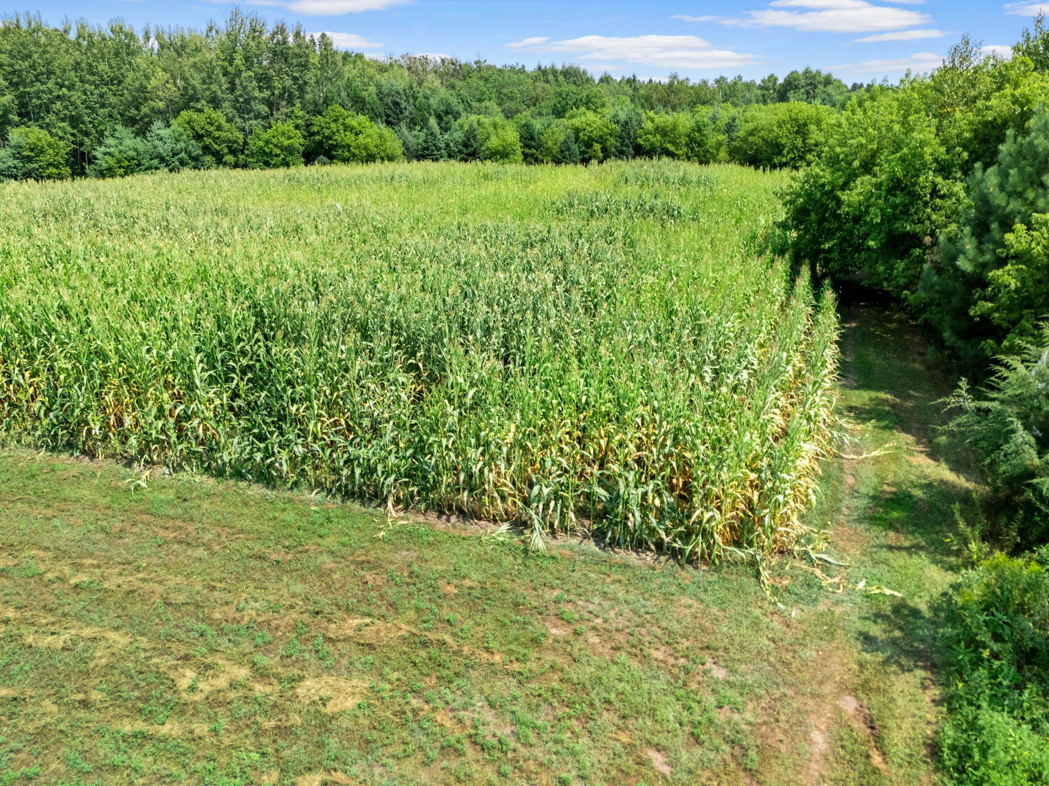 main property photo 55