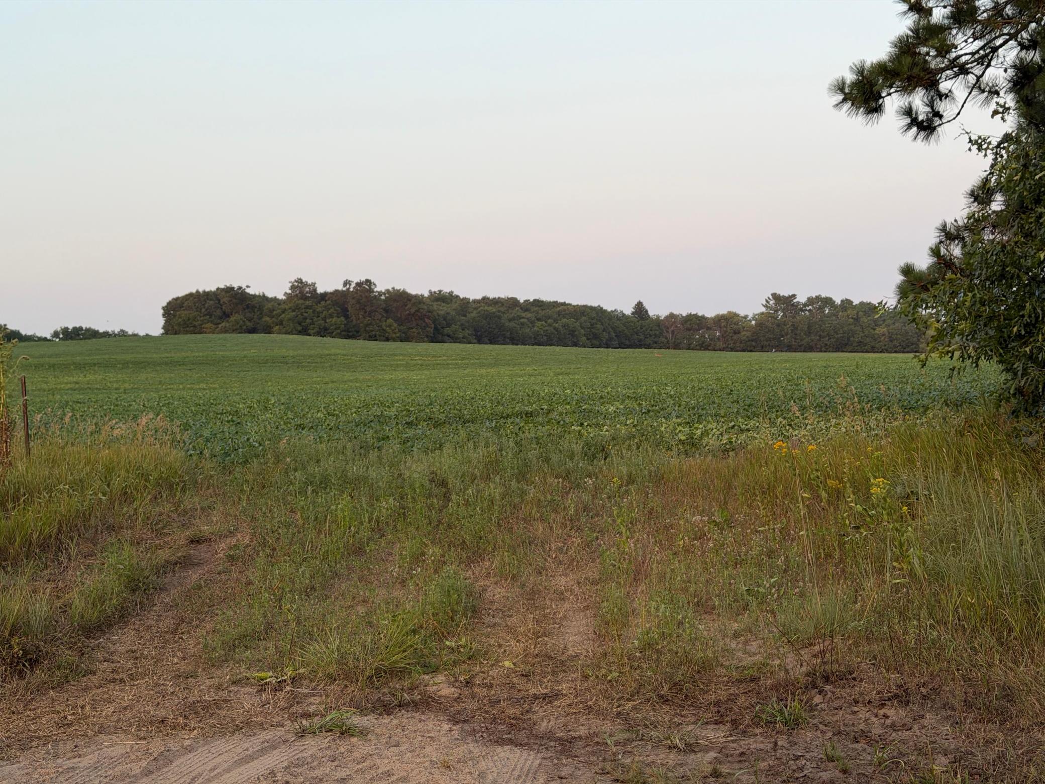 main property photo 16