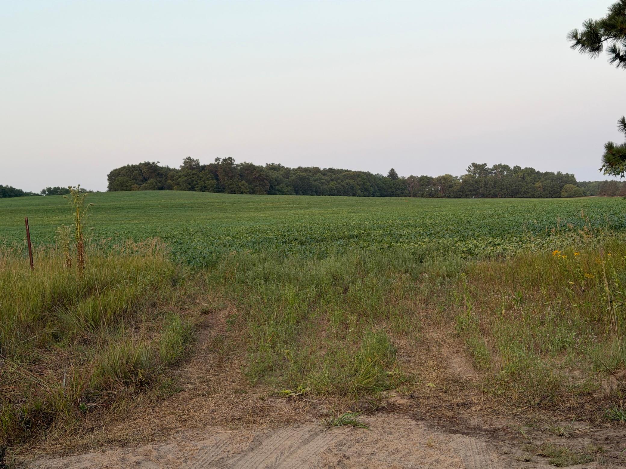 main property photo 17