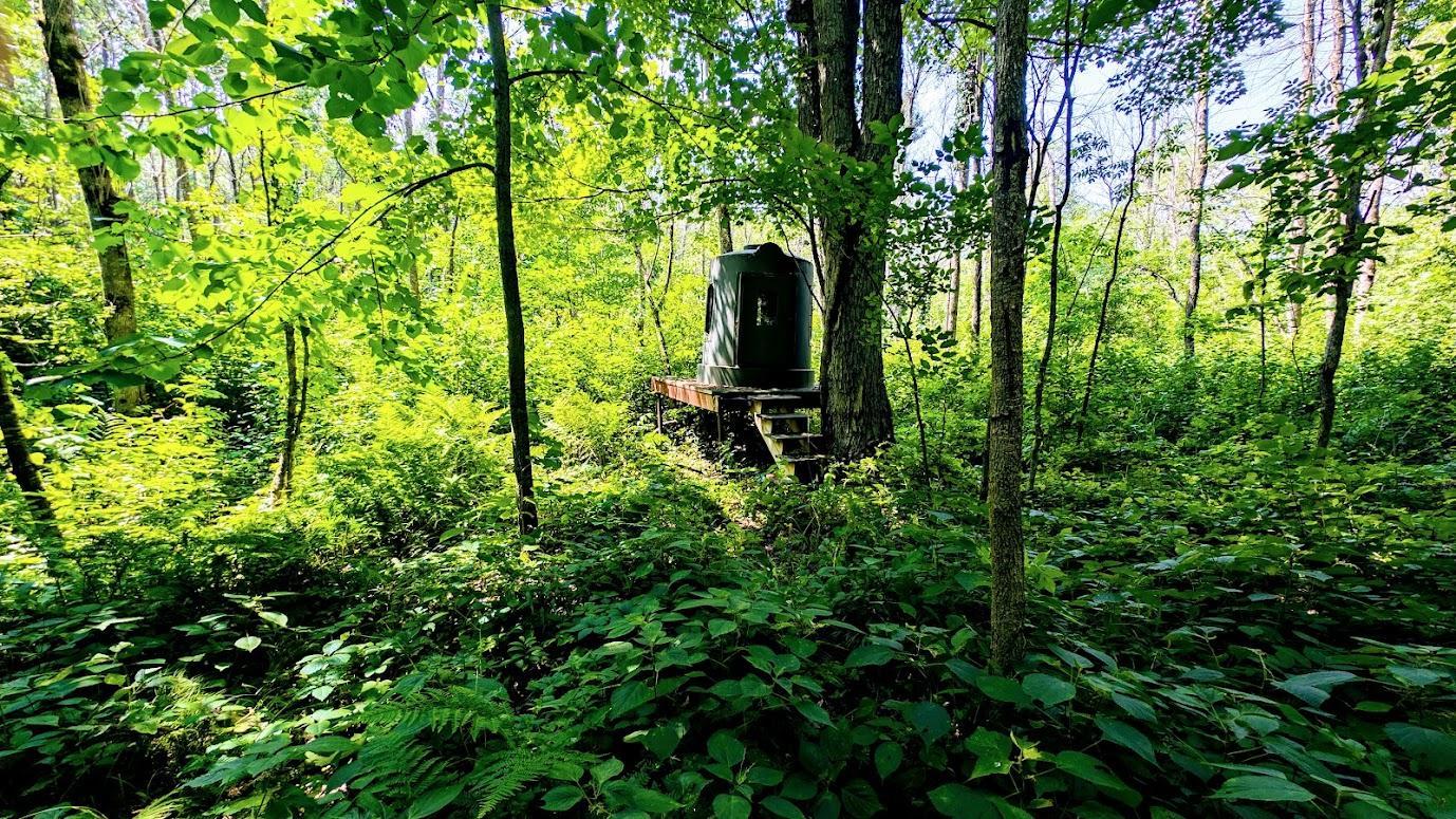 main property photo 47