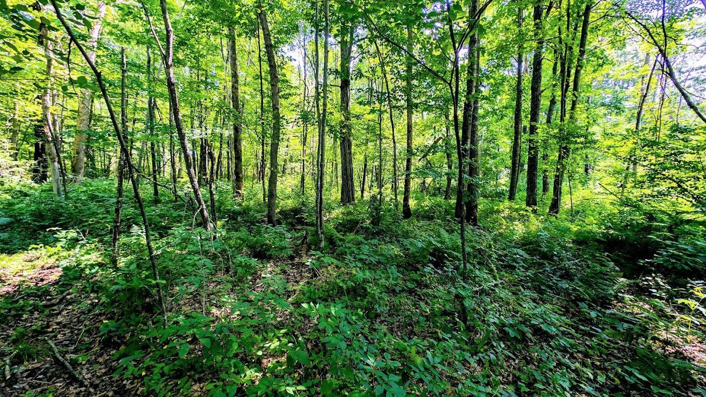main property photo 48