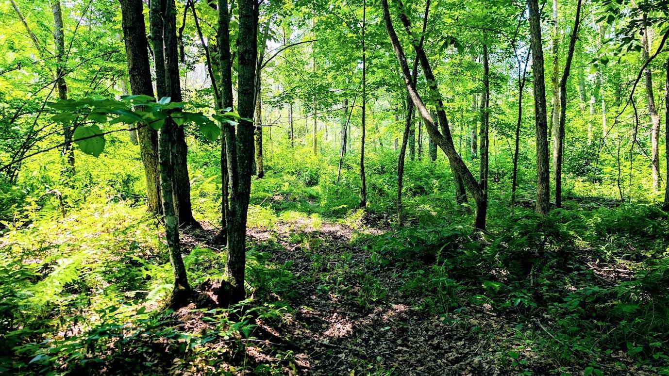 main property photo 49