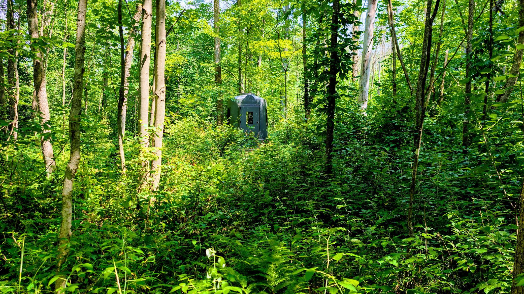 main property photo 50