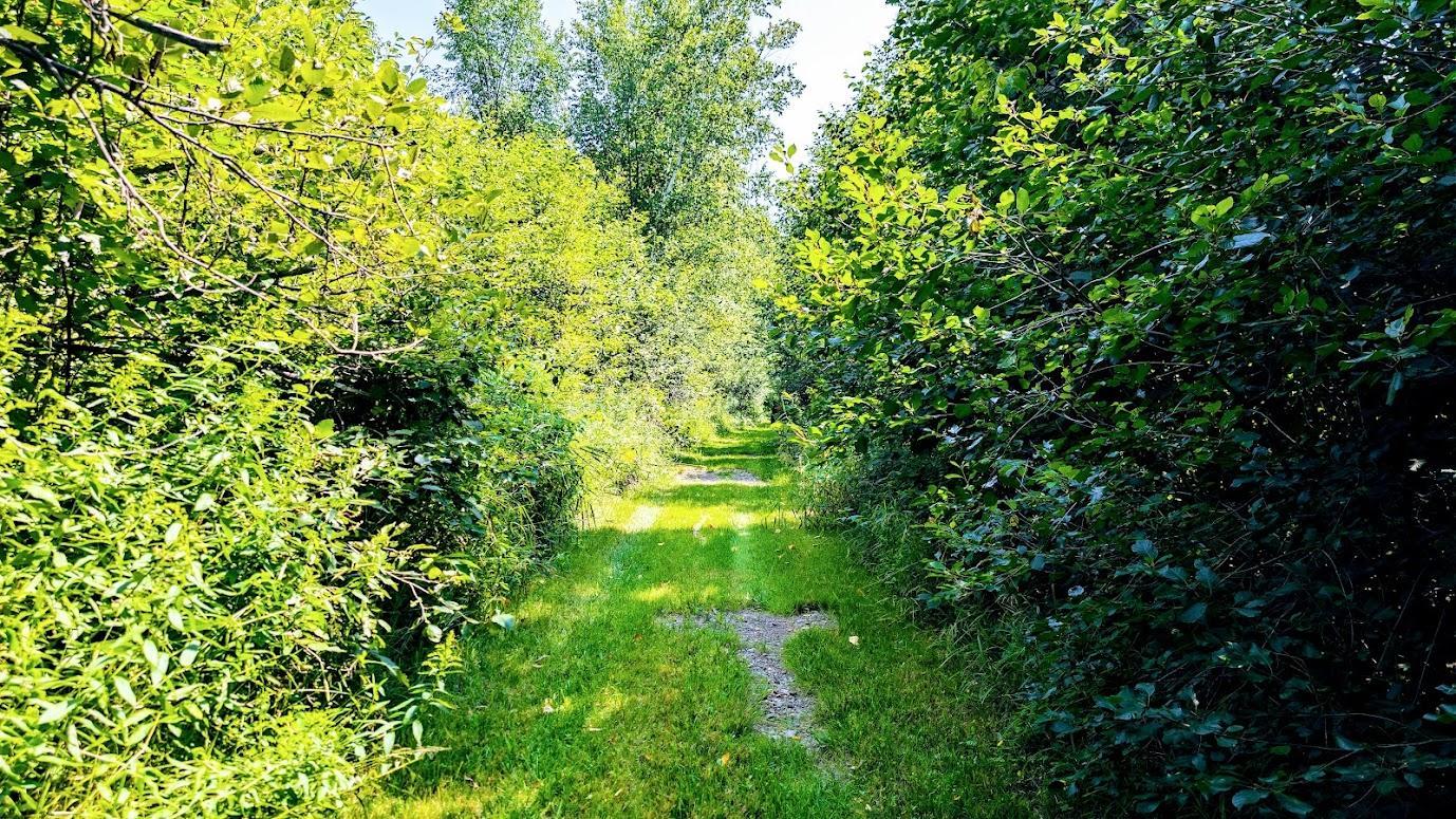 main property photo 56