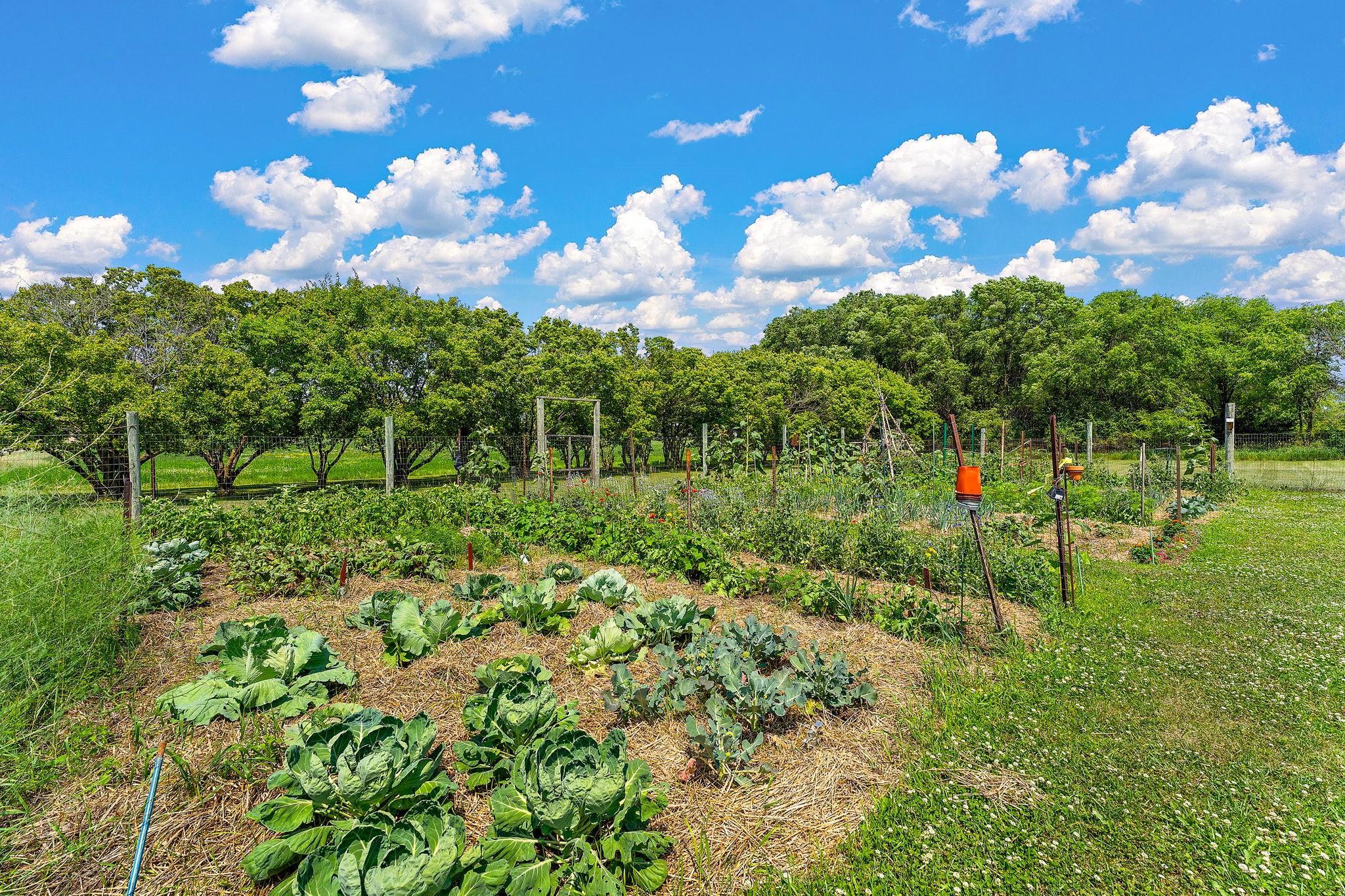 main property photo 64