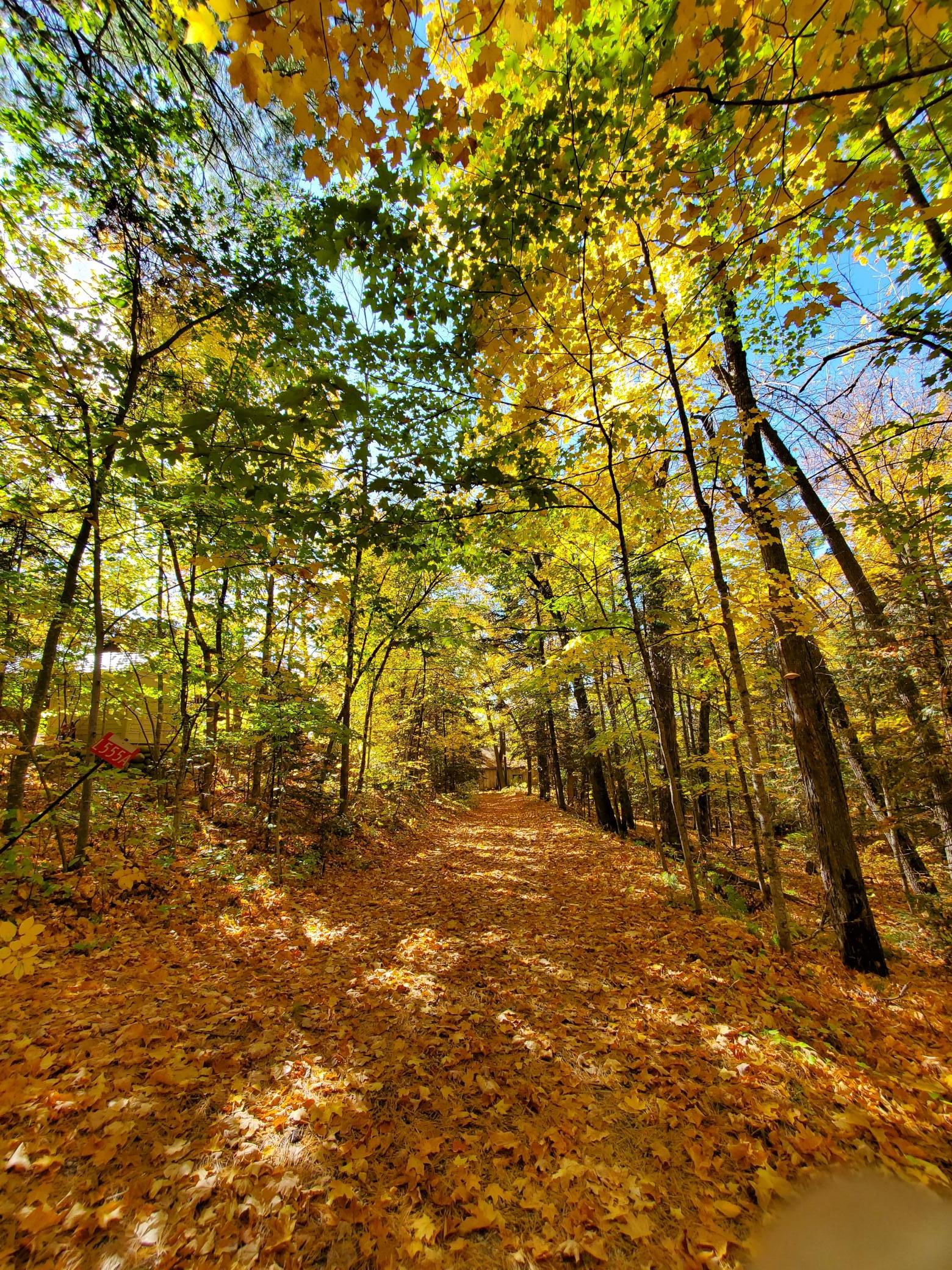 main property photo 98