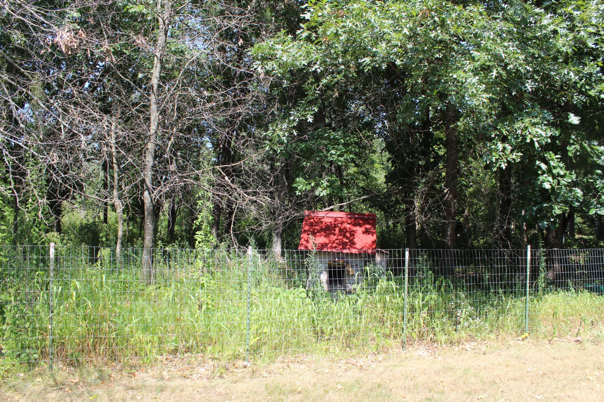 main property photo 33