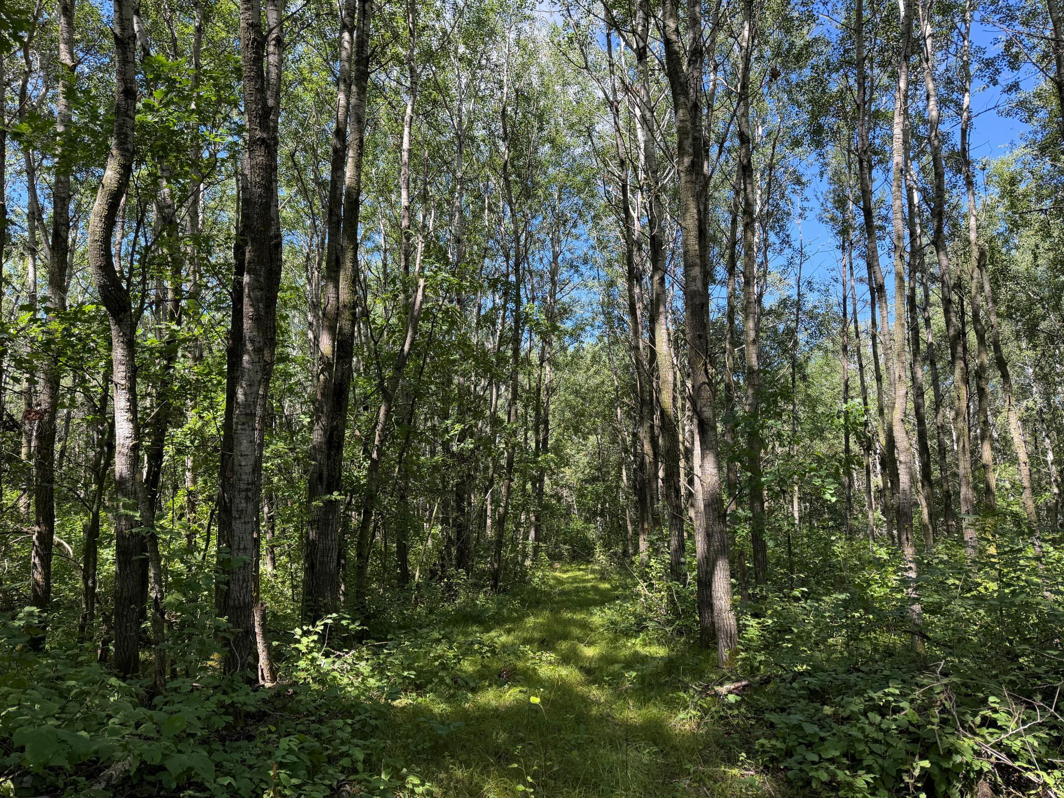 main property photo 13