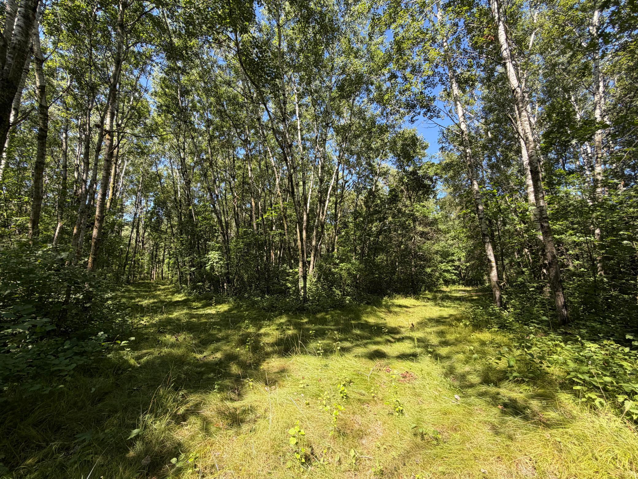 main property photo 18