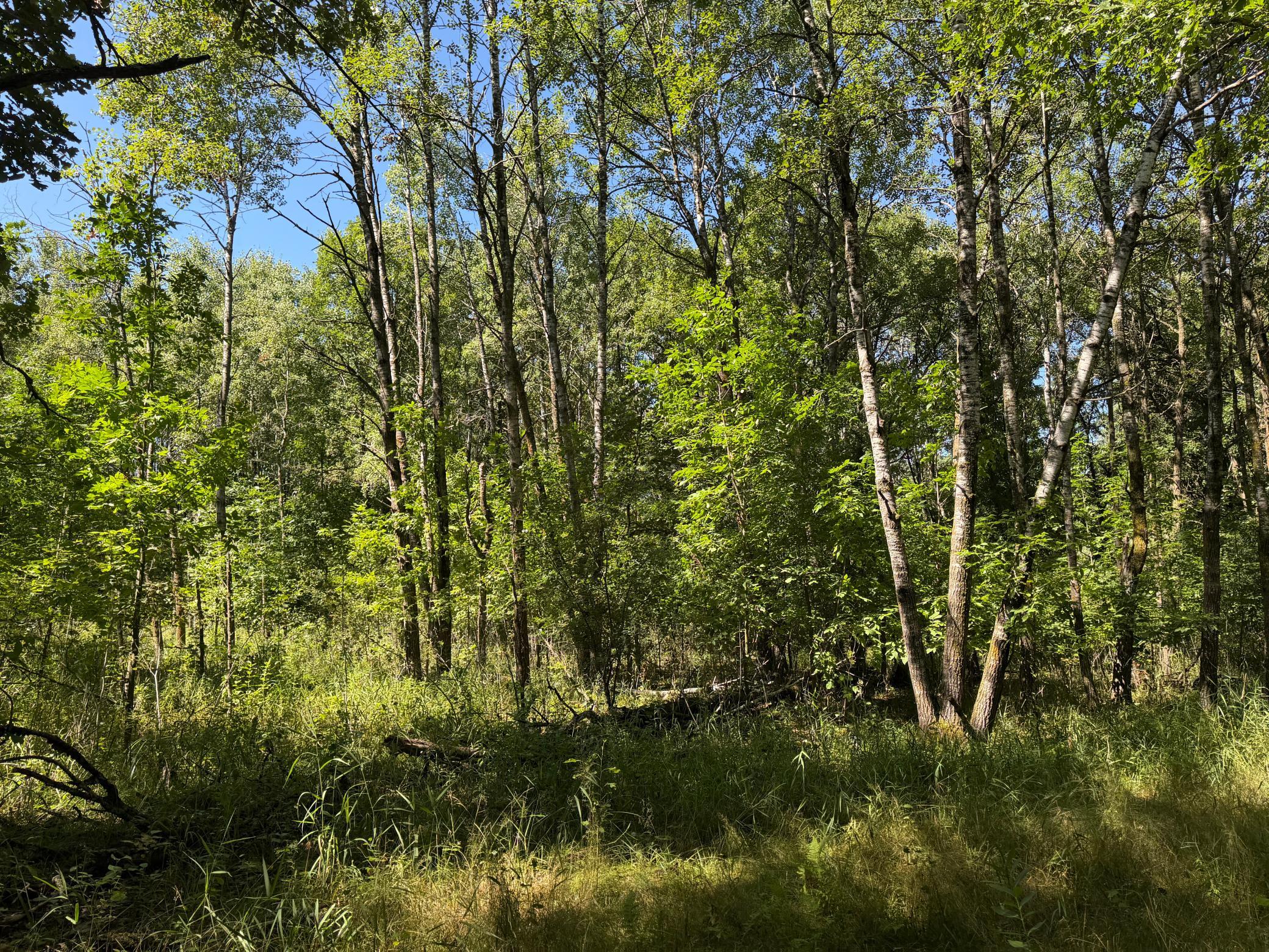 main property photo 21