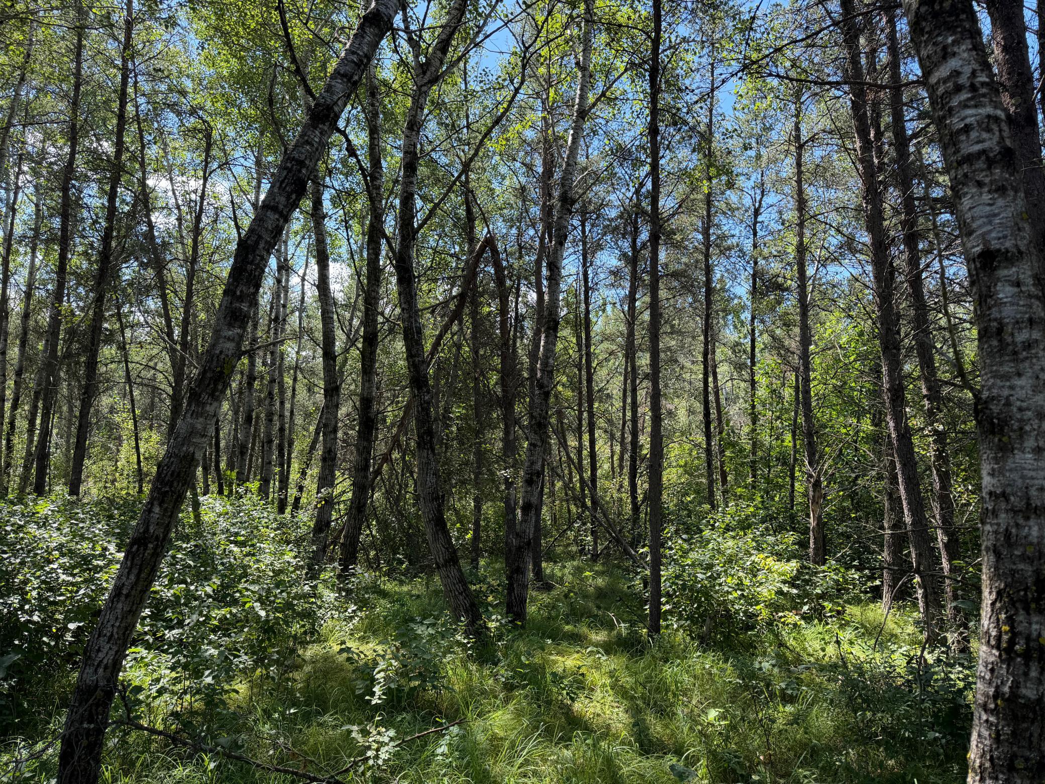 main property photo 33