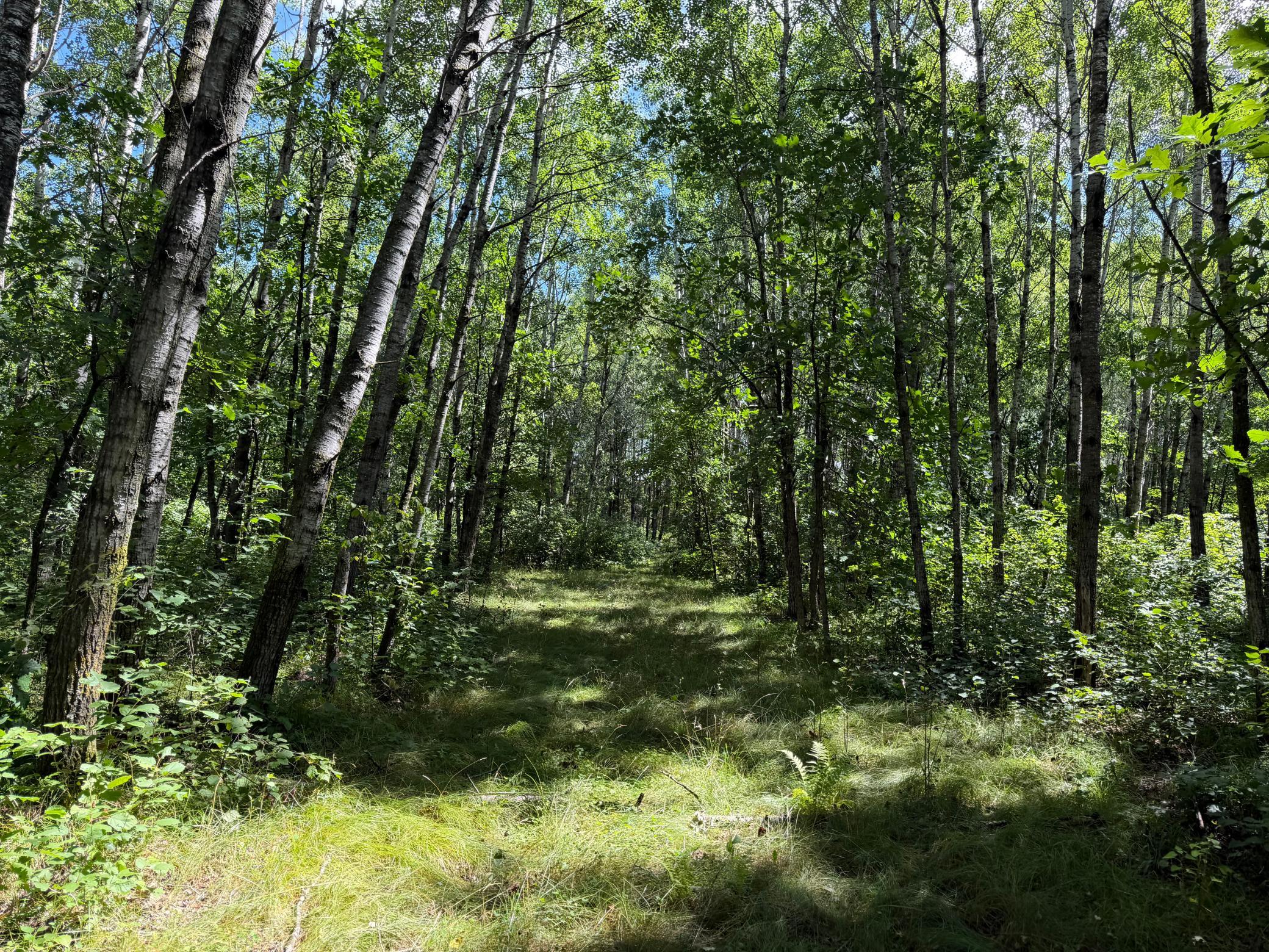 main property photo 39