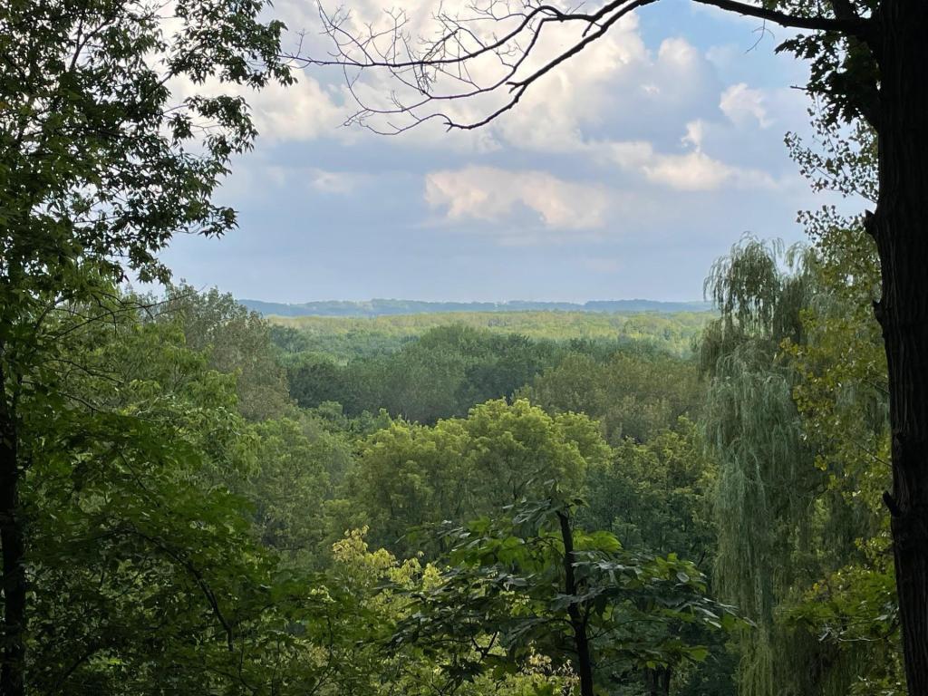 main property photo 19