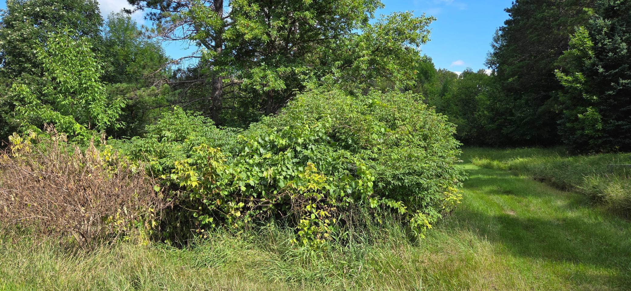 main property photo 0