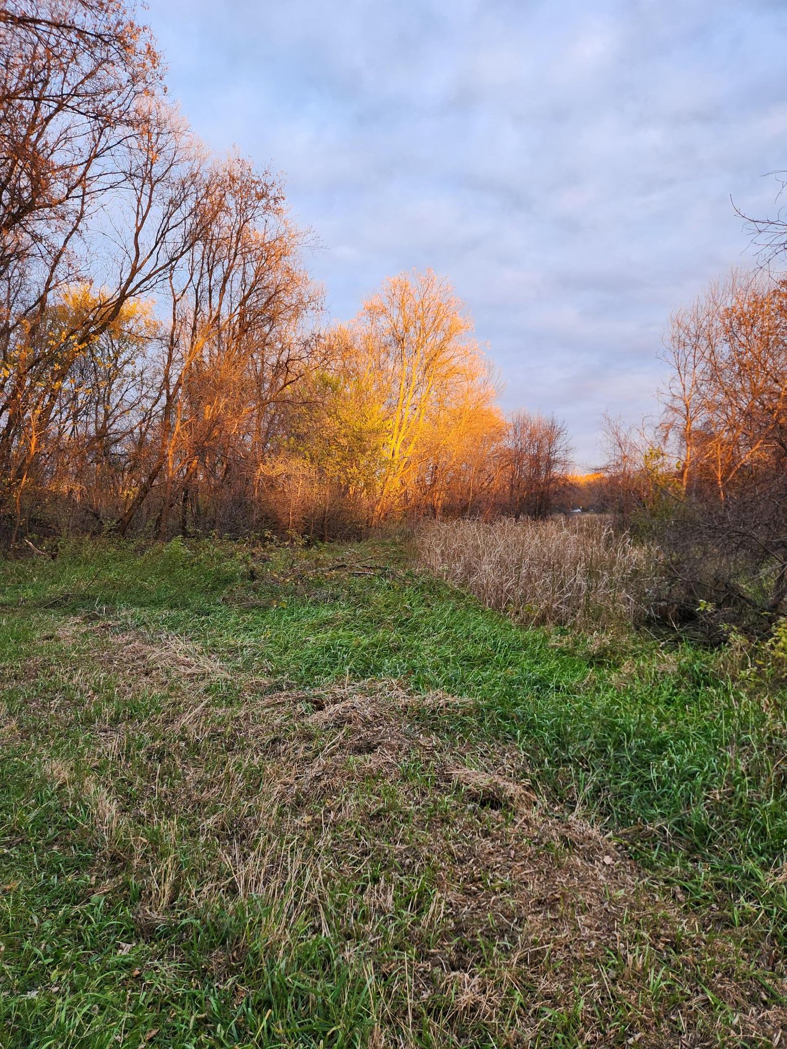 main property photo 40
