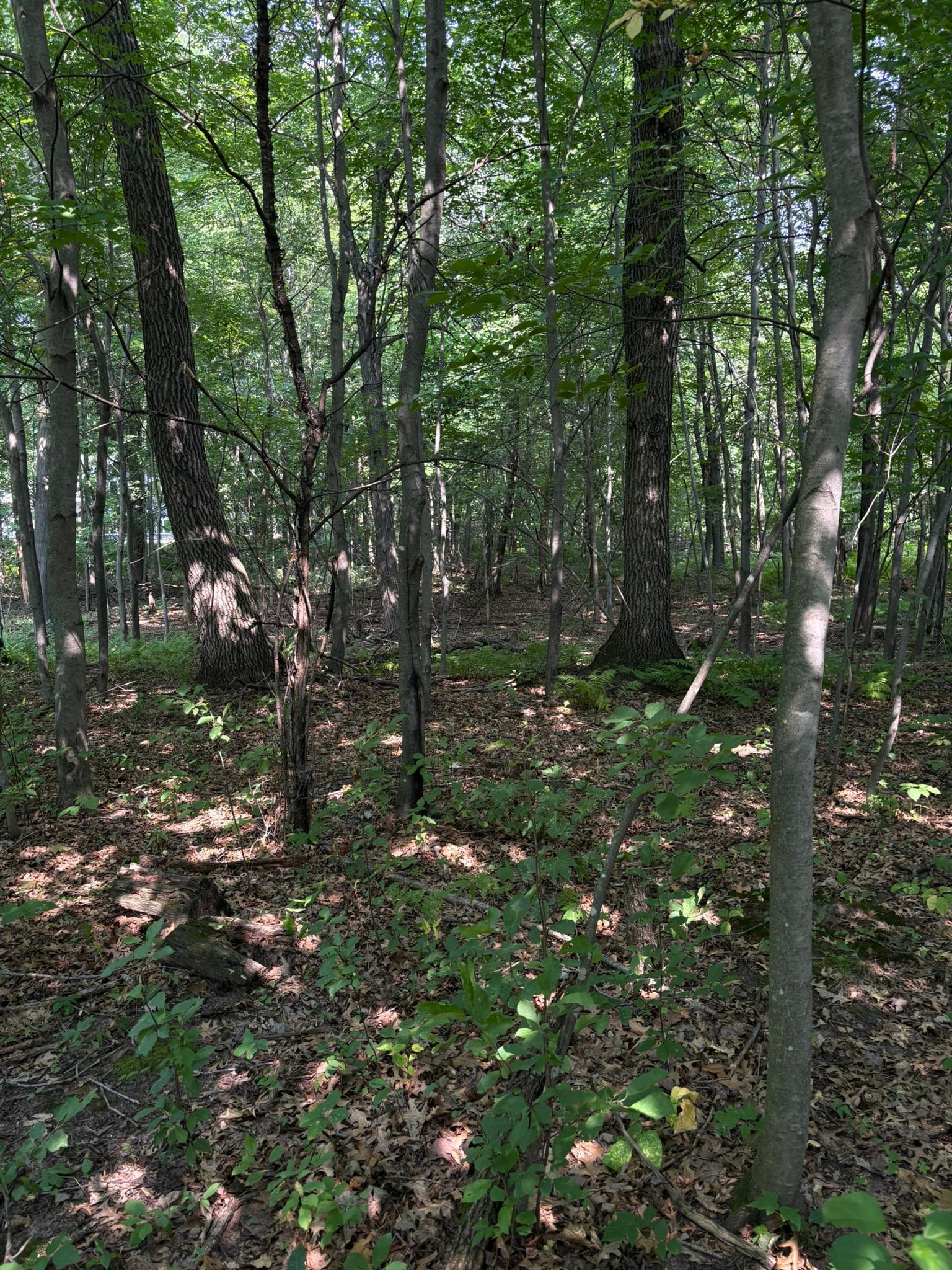 main property photo 0